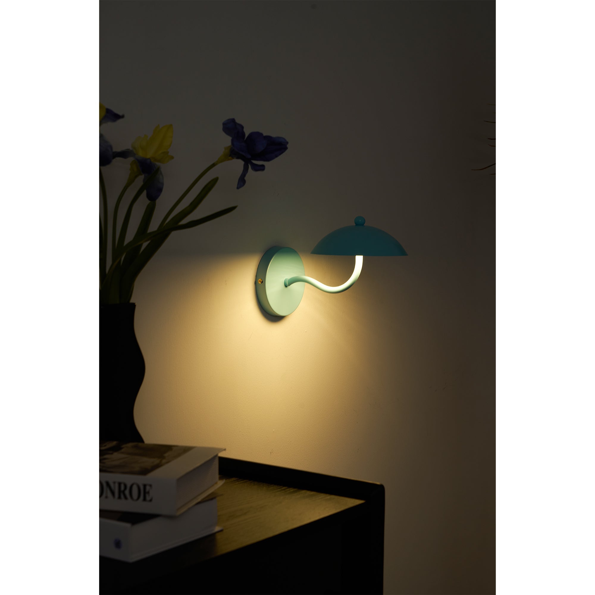 Lannovale Dome Wall Light