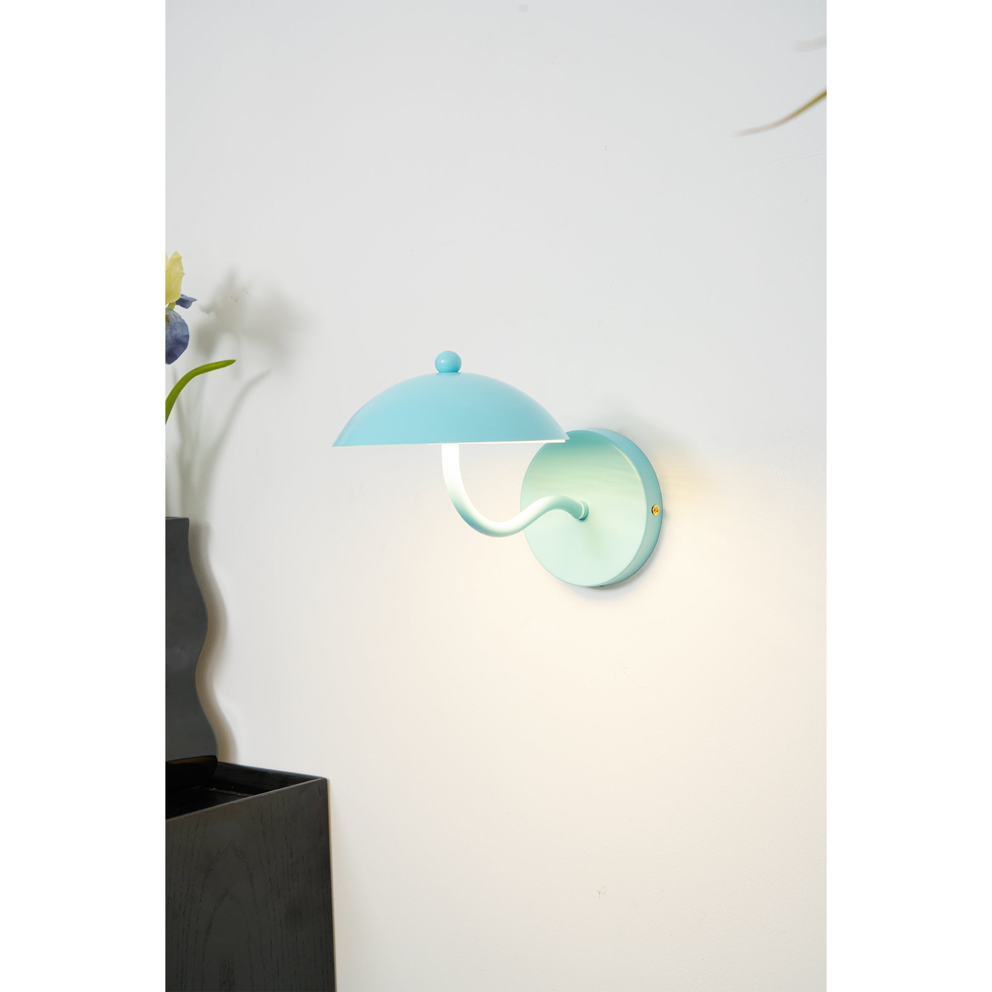 Lannovale Dome Wall Light