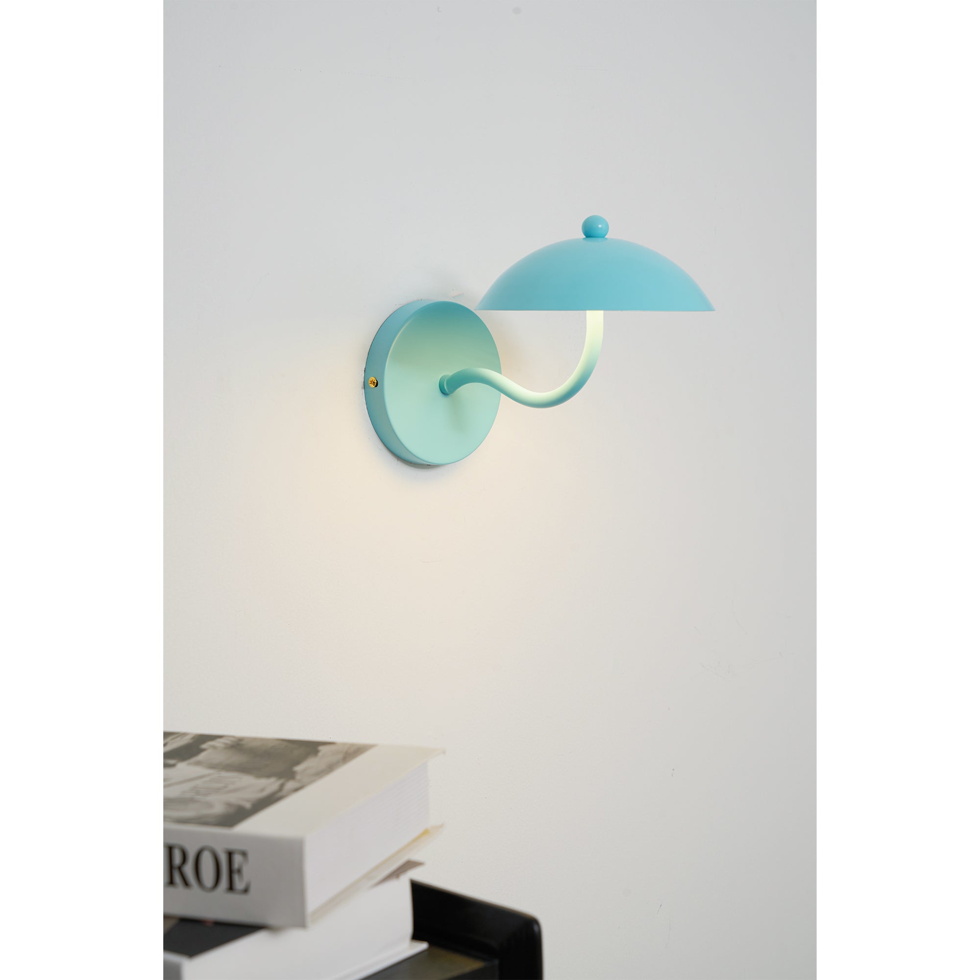 Casnoas Dome Wall Light