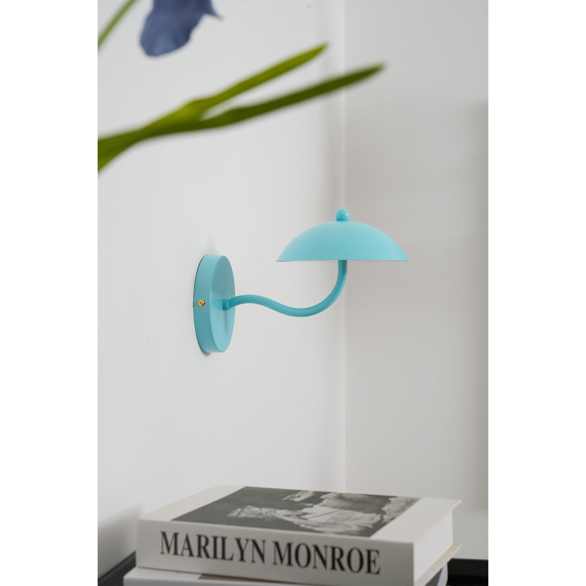 Casnoas Dome Wall Light
