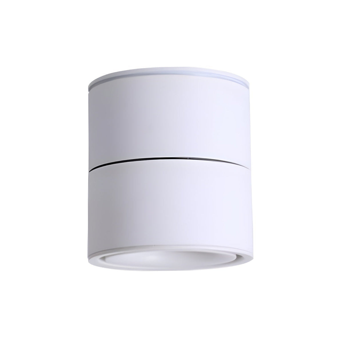Rotatable Spotlight Ceiling Light – detail 18