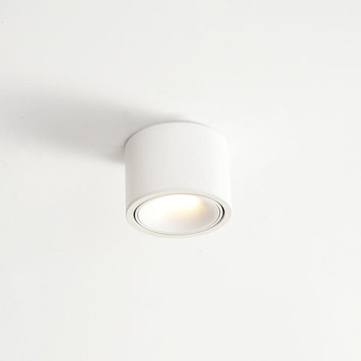 Renma Round Ceiling Light