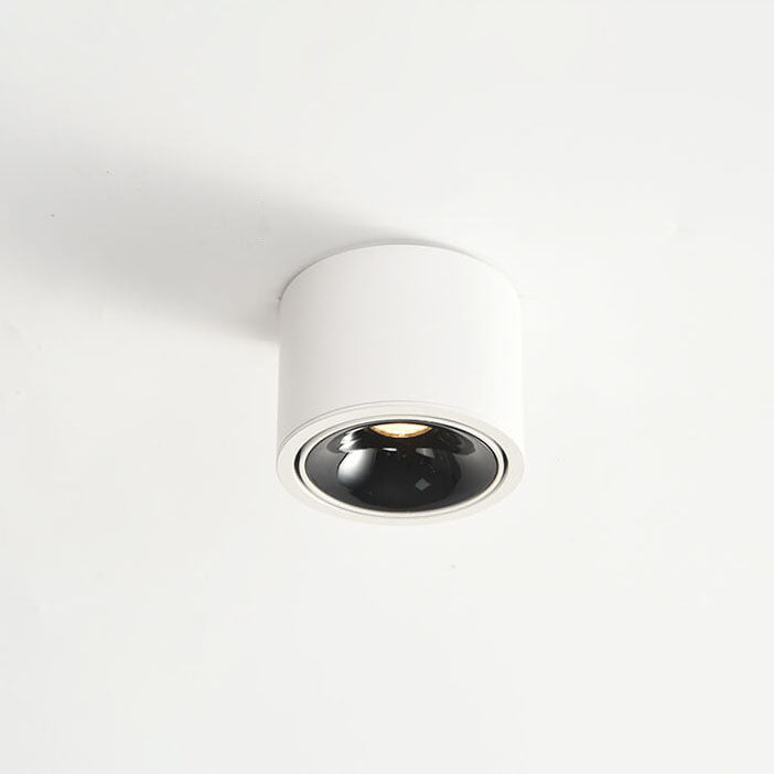 Renma Round Ceiling Light