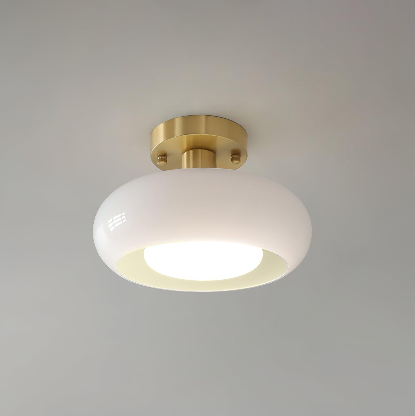 Rioibay Outdoor Ceiling Light