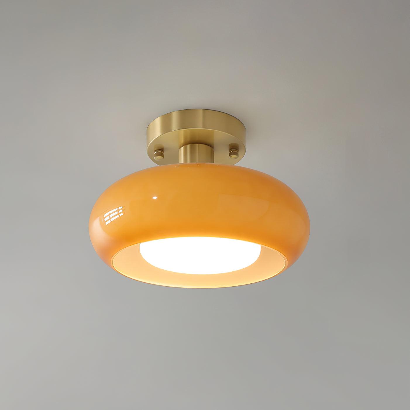 Rioibay Outdoor Ceiling Light