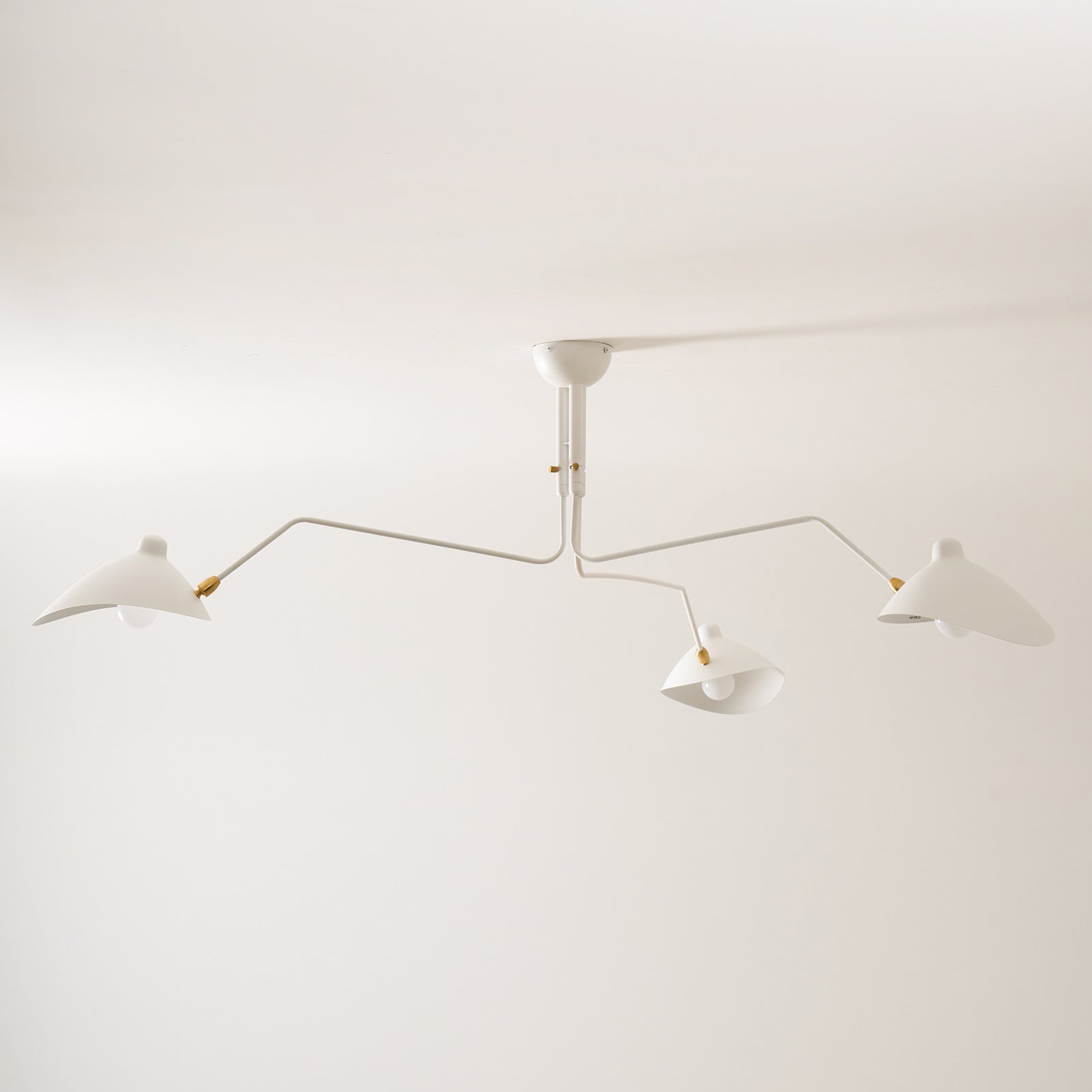 Casley Spider Ceiling Light