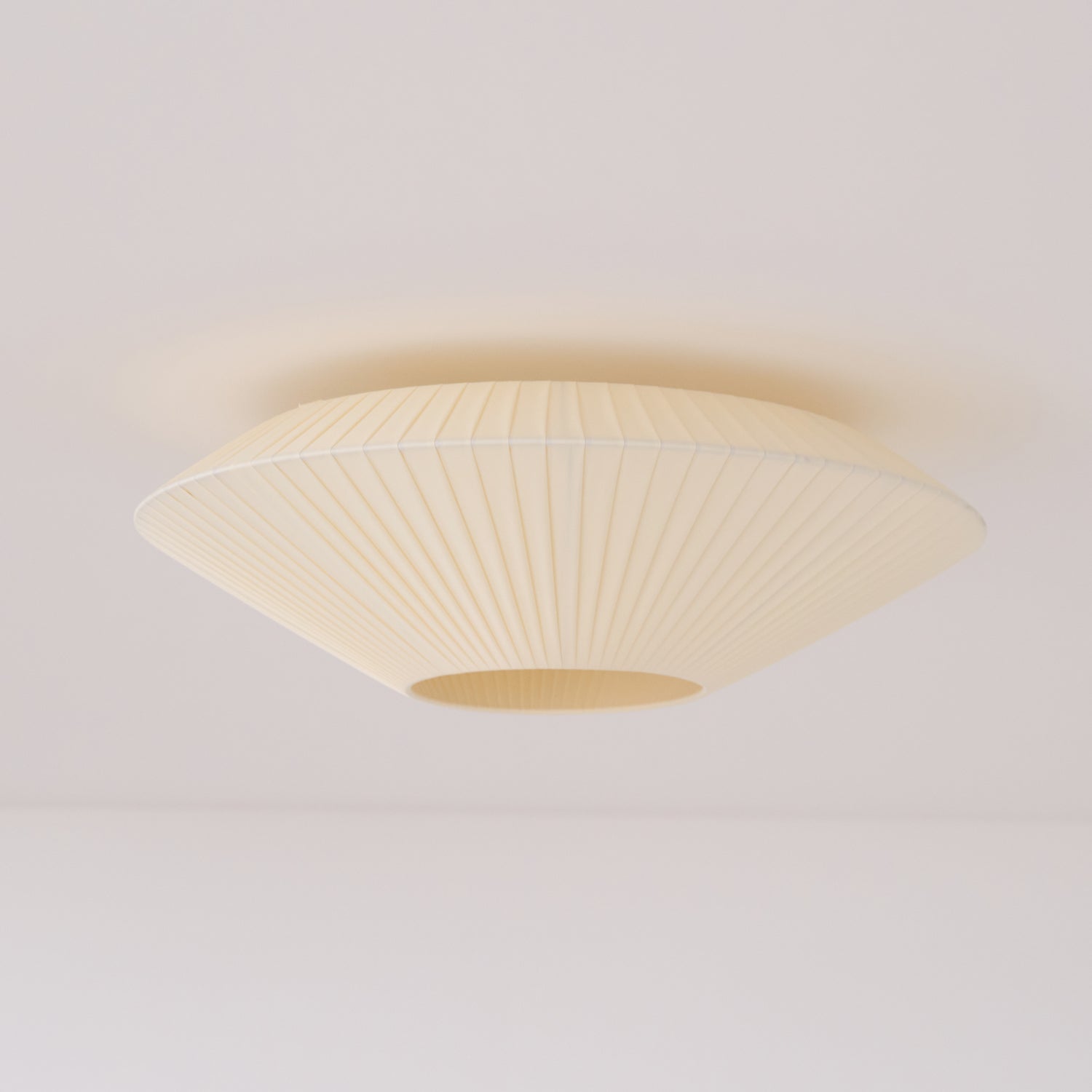 Alnoey Ceiling Light