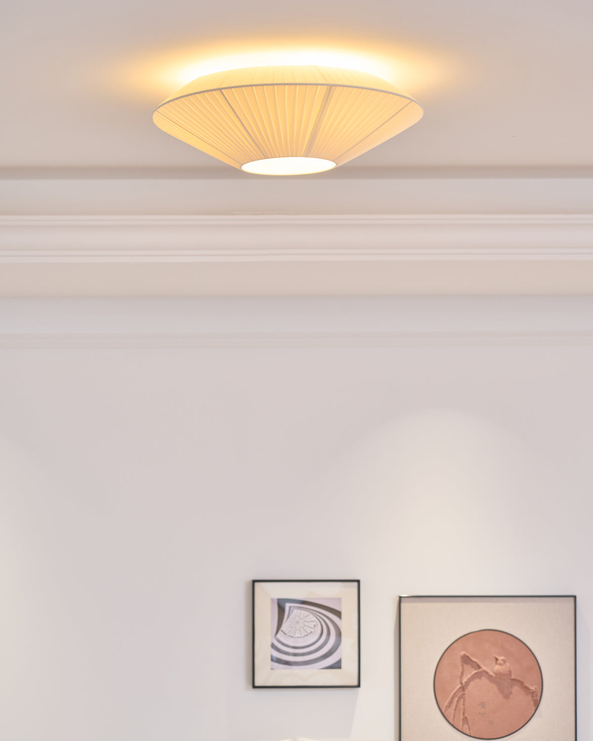 Alnoey Ceiling Light