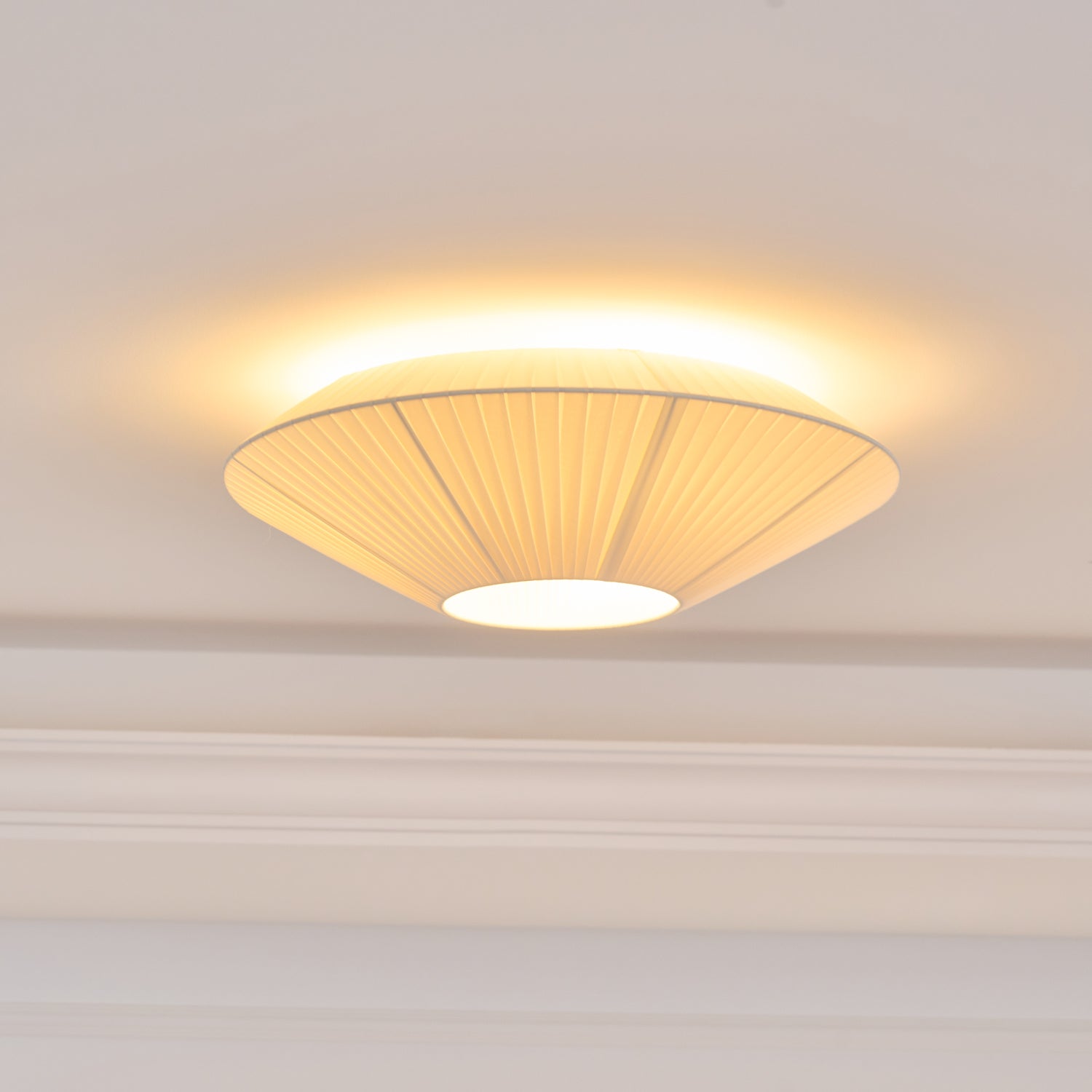 Alnoey Ceiling Light