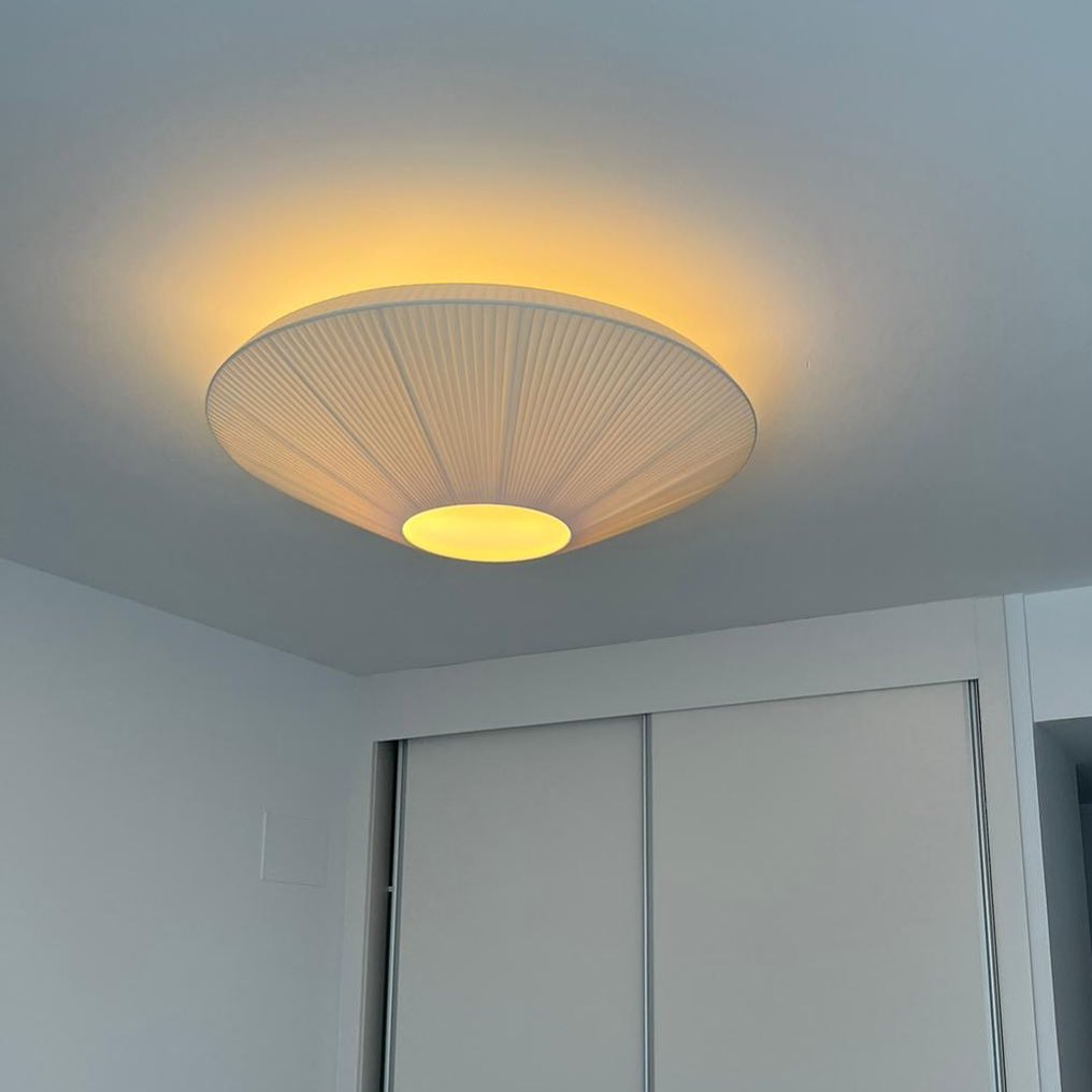 Alnoey Ceiling Light