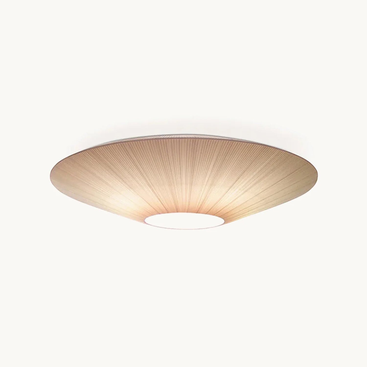 Alnoey Ceiling Light