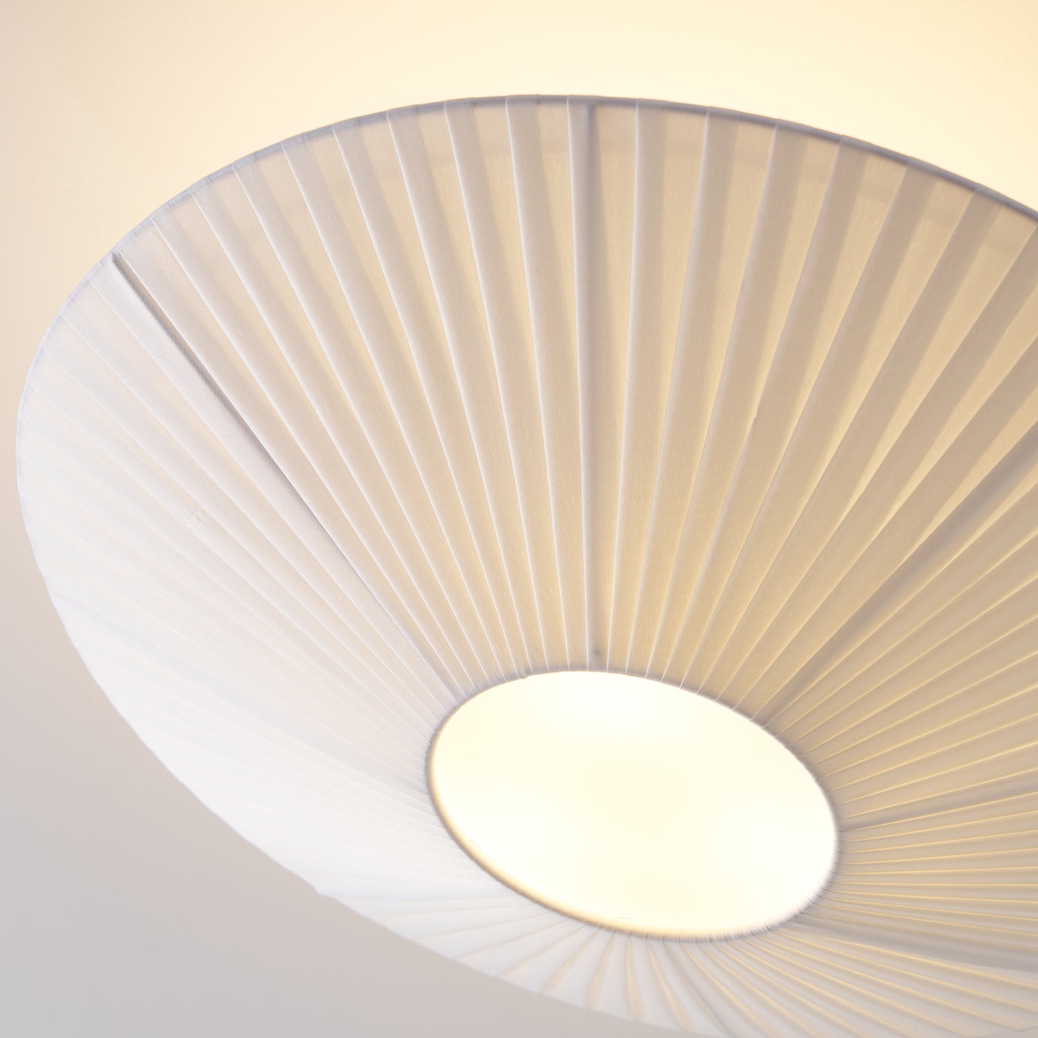 Alnoey Ceiling Light