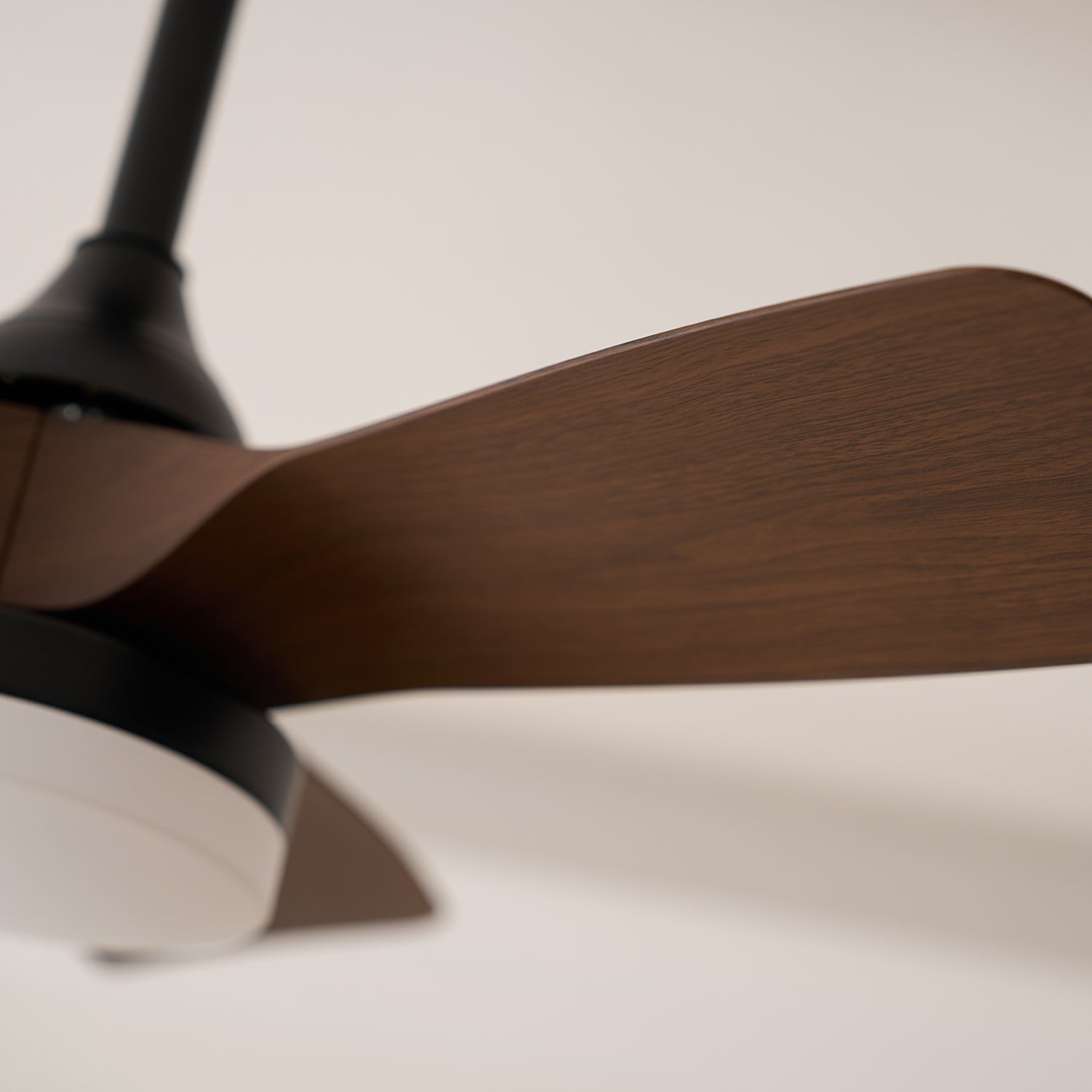 Lexey Ceiling Fan Light