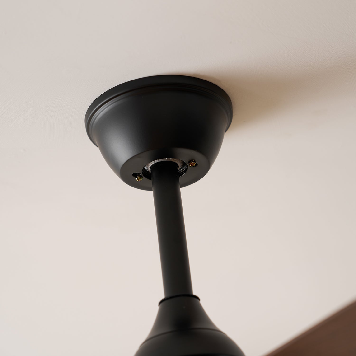 Lexey Ceiling Fan Light