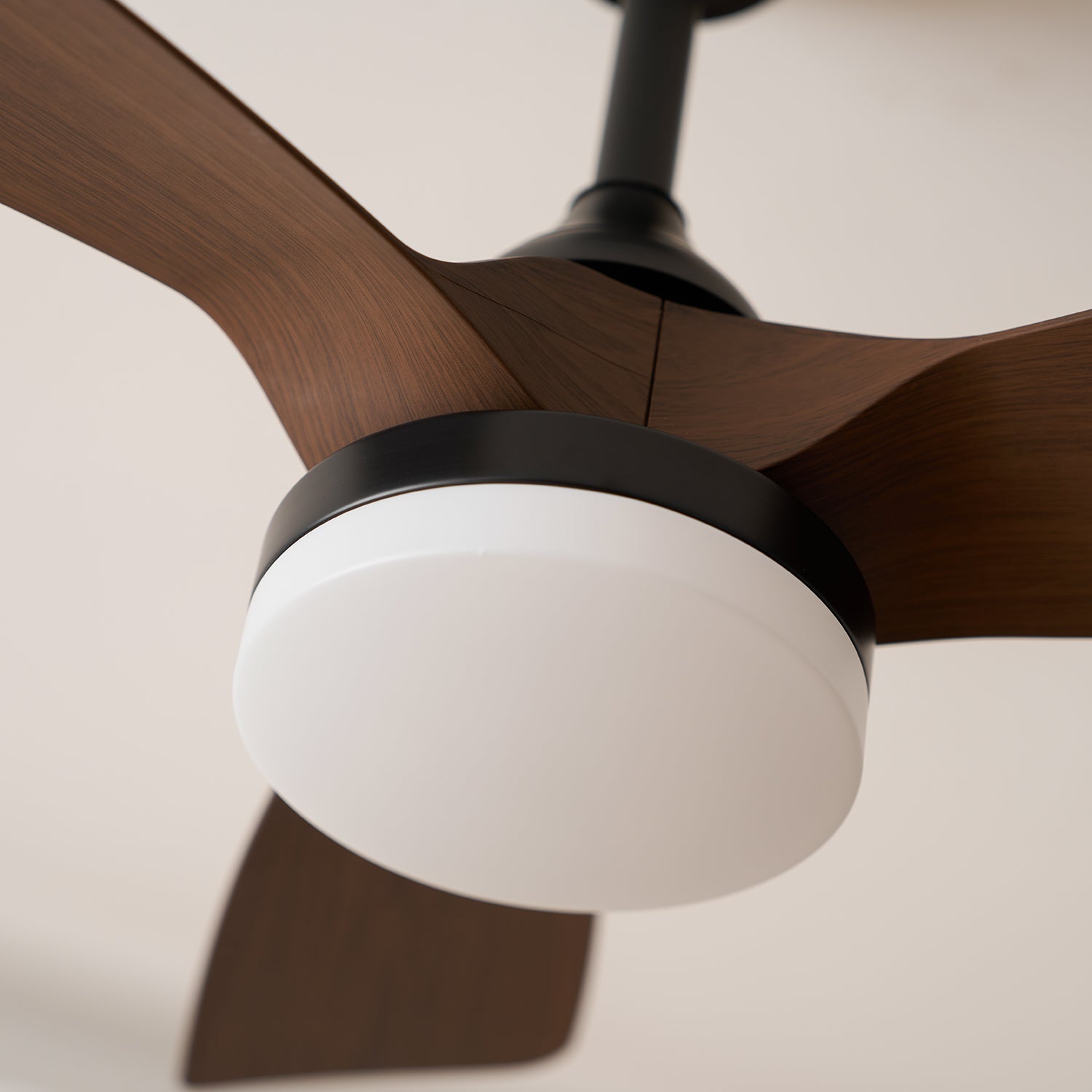 Lexey Ceiling Fan Light