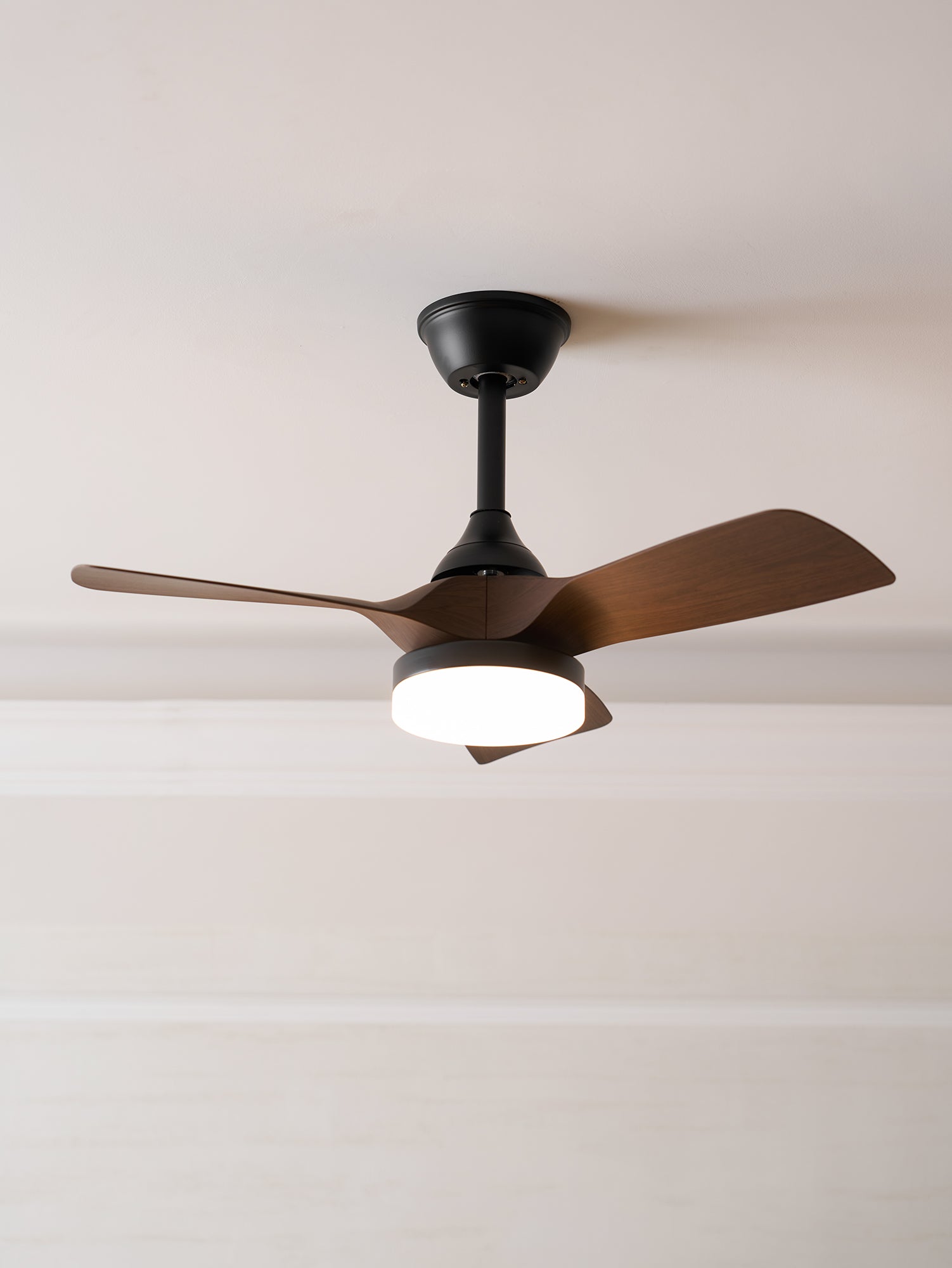 Lexey Ceiling Fan Light