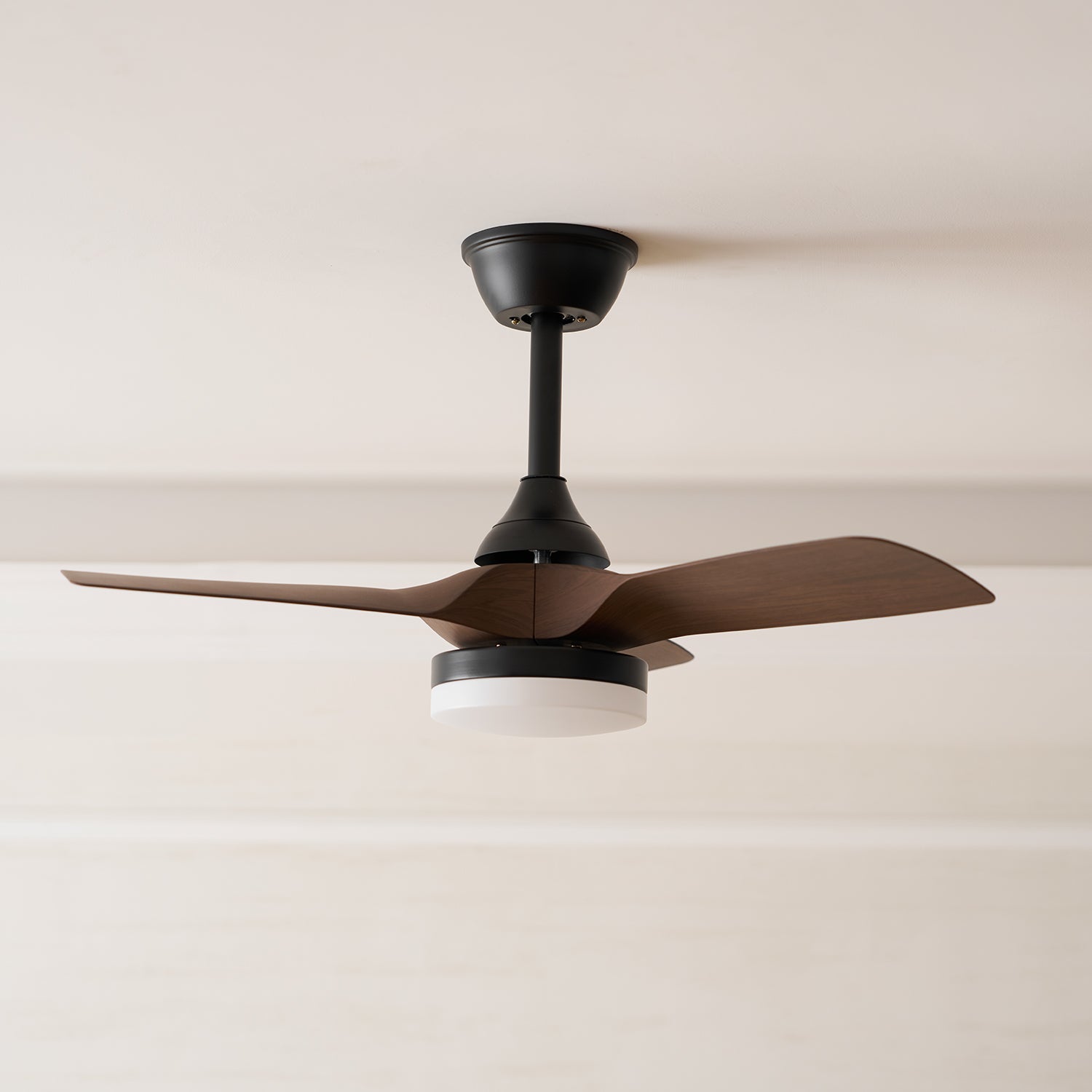 Lexey Ceiling Fan Light