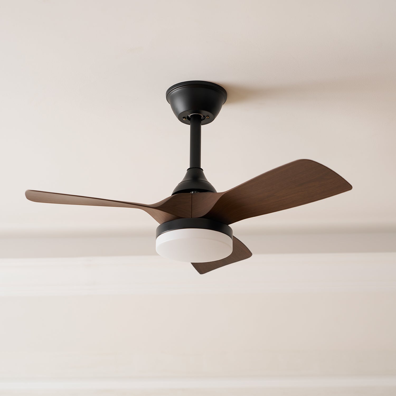 Lexey Ceiling Fan Light