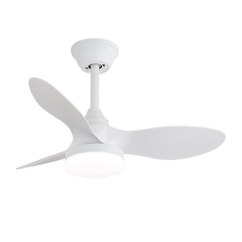 Lexey Ceiling Fan Light