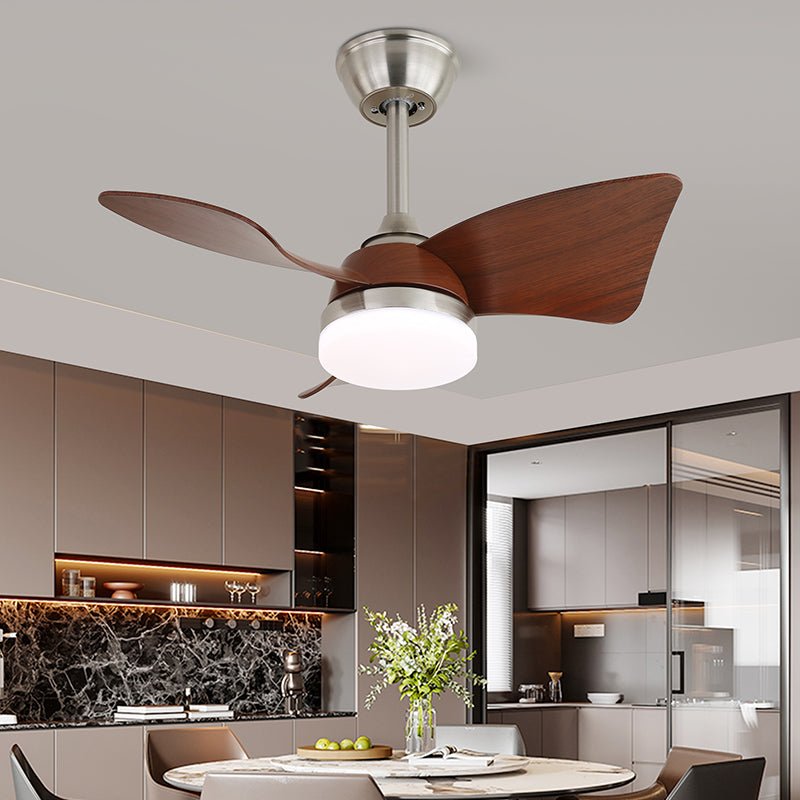 Lexey Ceiling Fan Light
