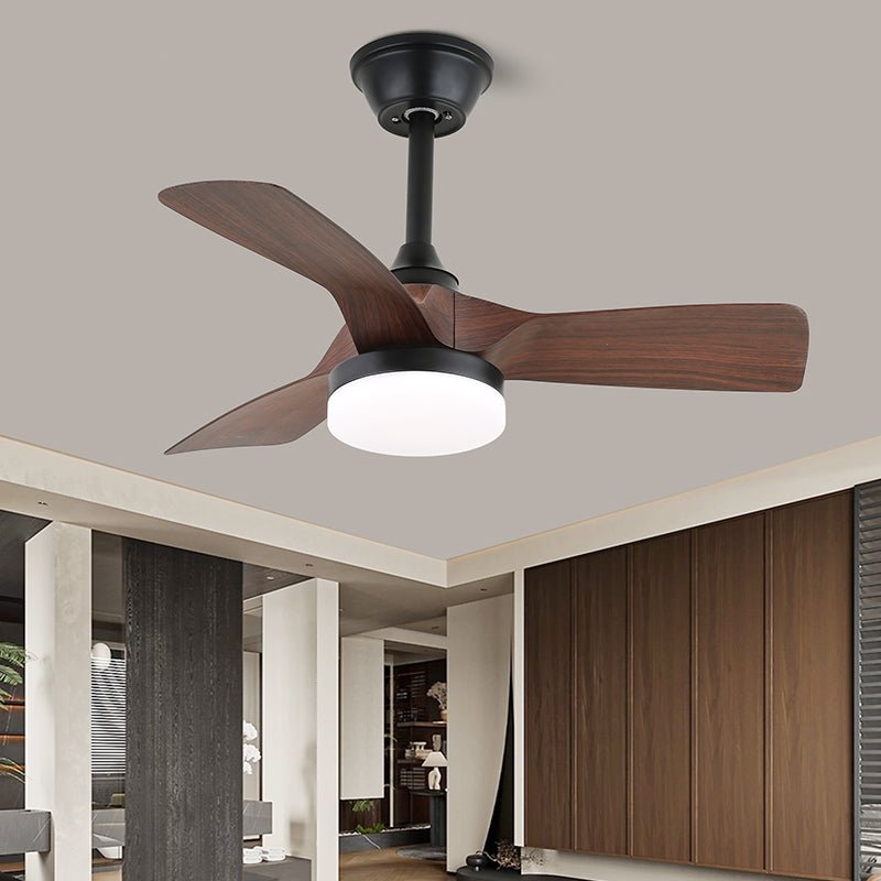 Lexey Ceiling Fan Light