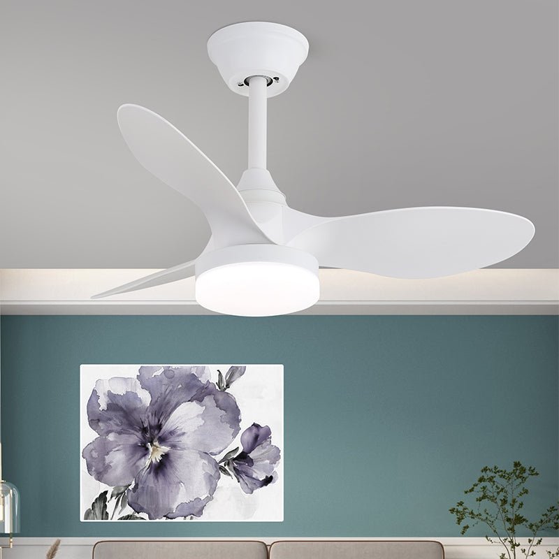 Lexey Ceiling Fan Light