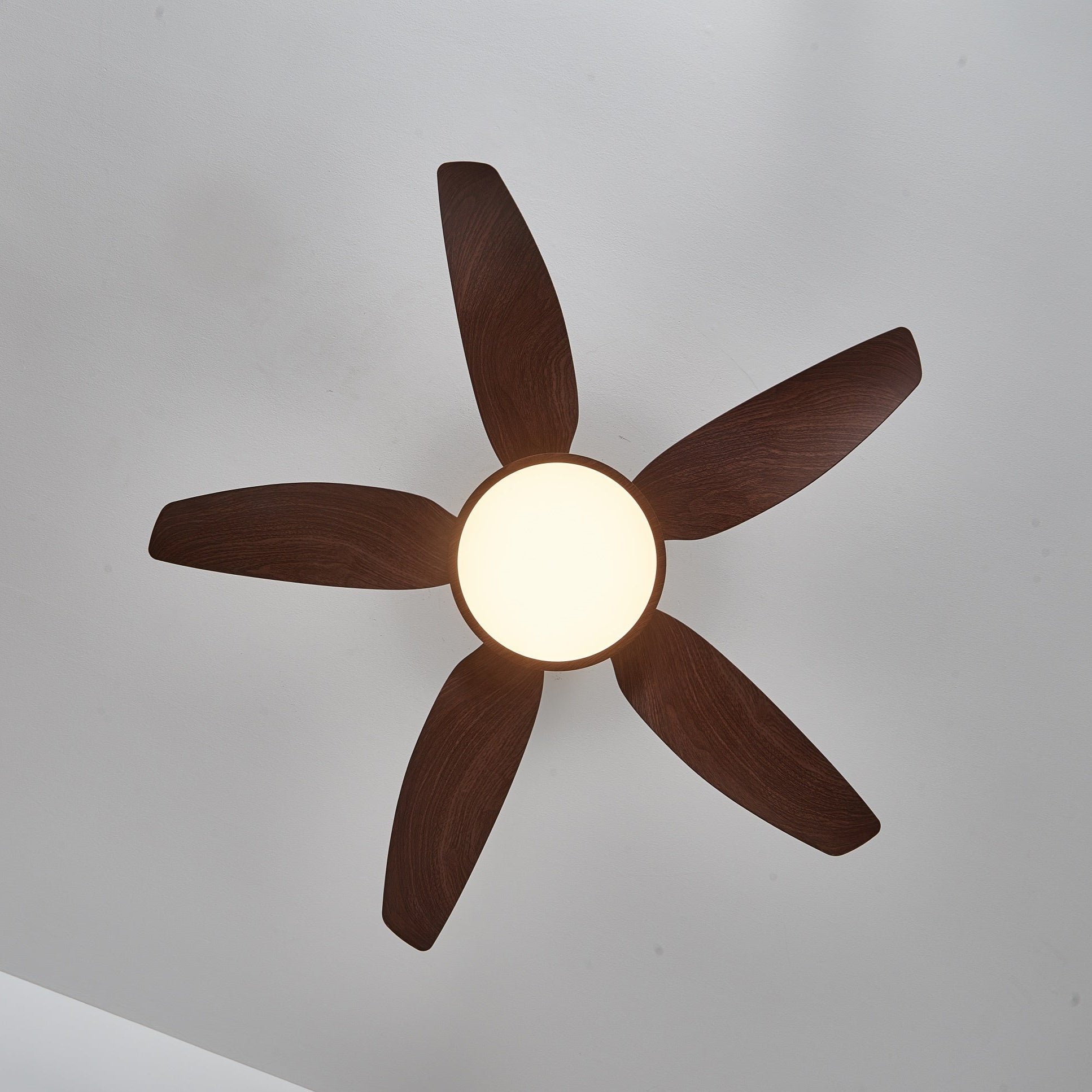 Tereelo Ceiling Fan Light