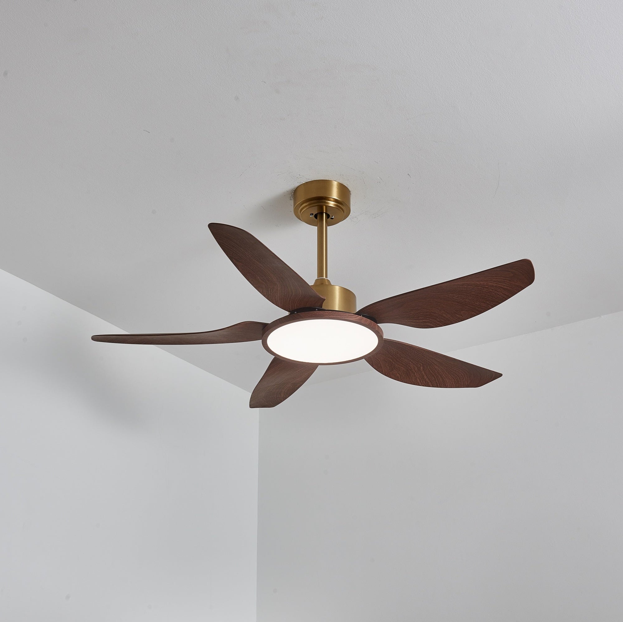 Tereelo Ceiling Fan Light