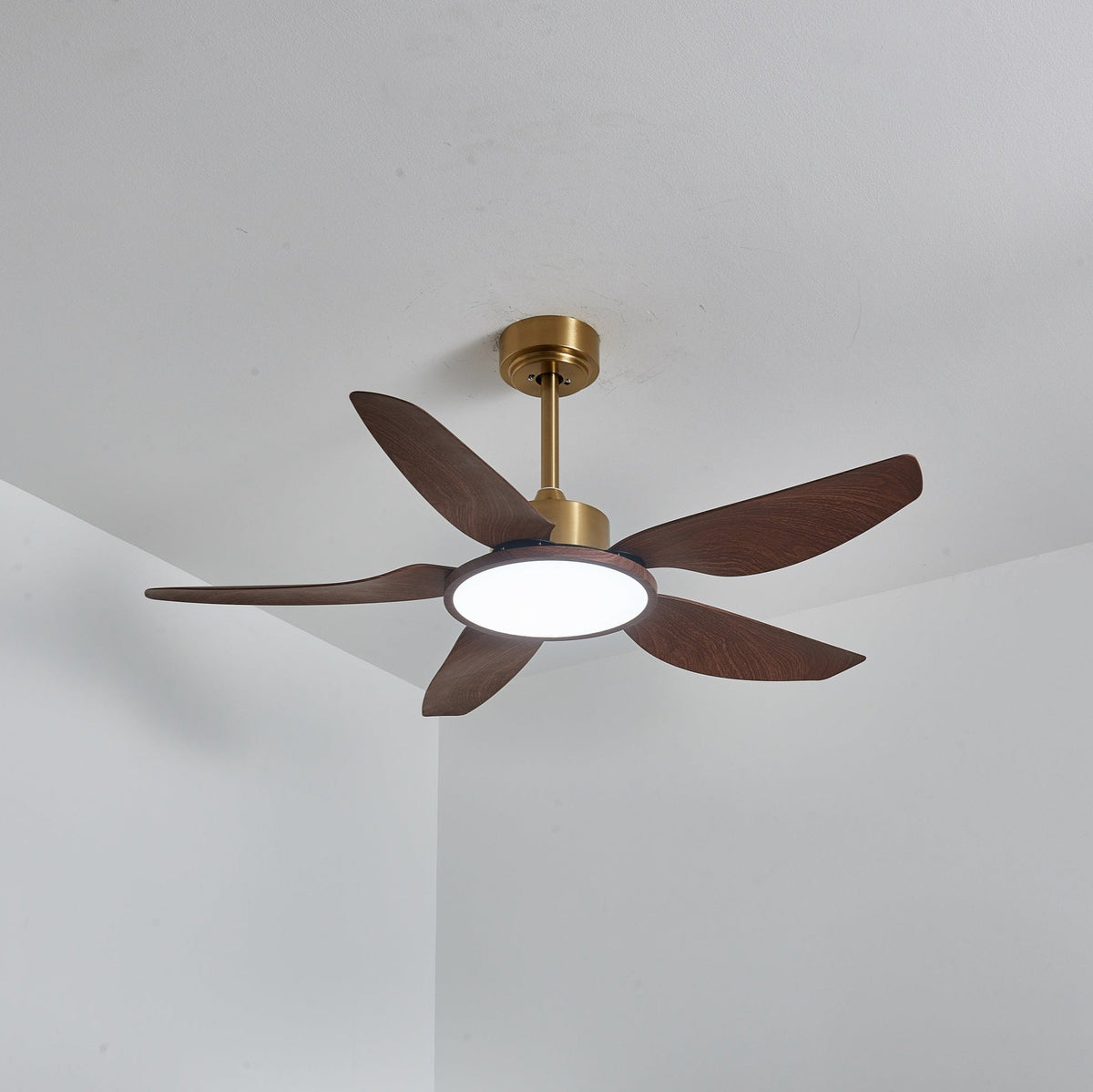 Caselen Ceiling Fan Light