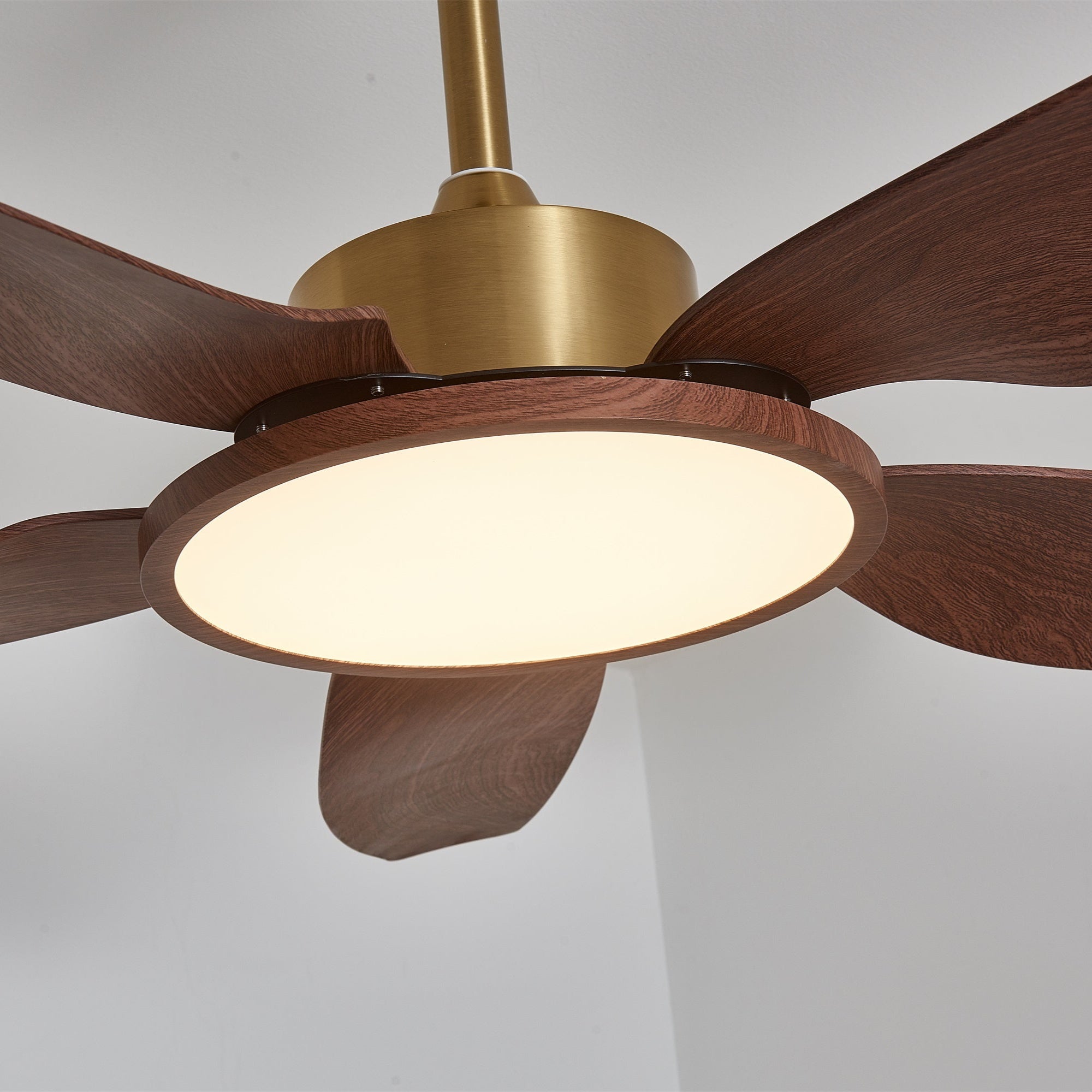 Tereelo Ceiling Fan Light