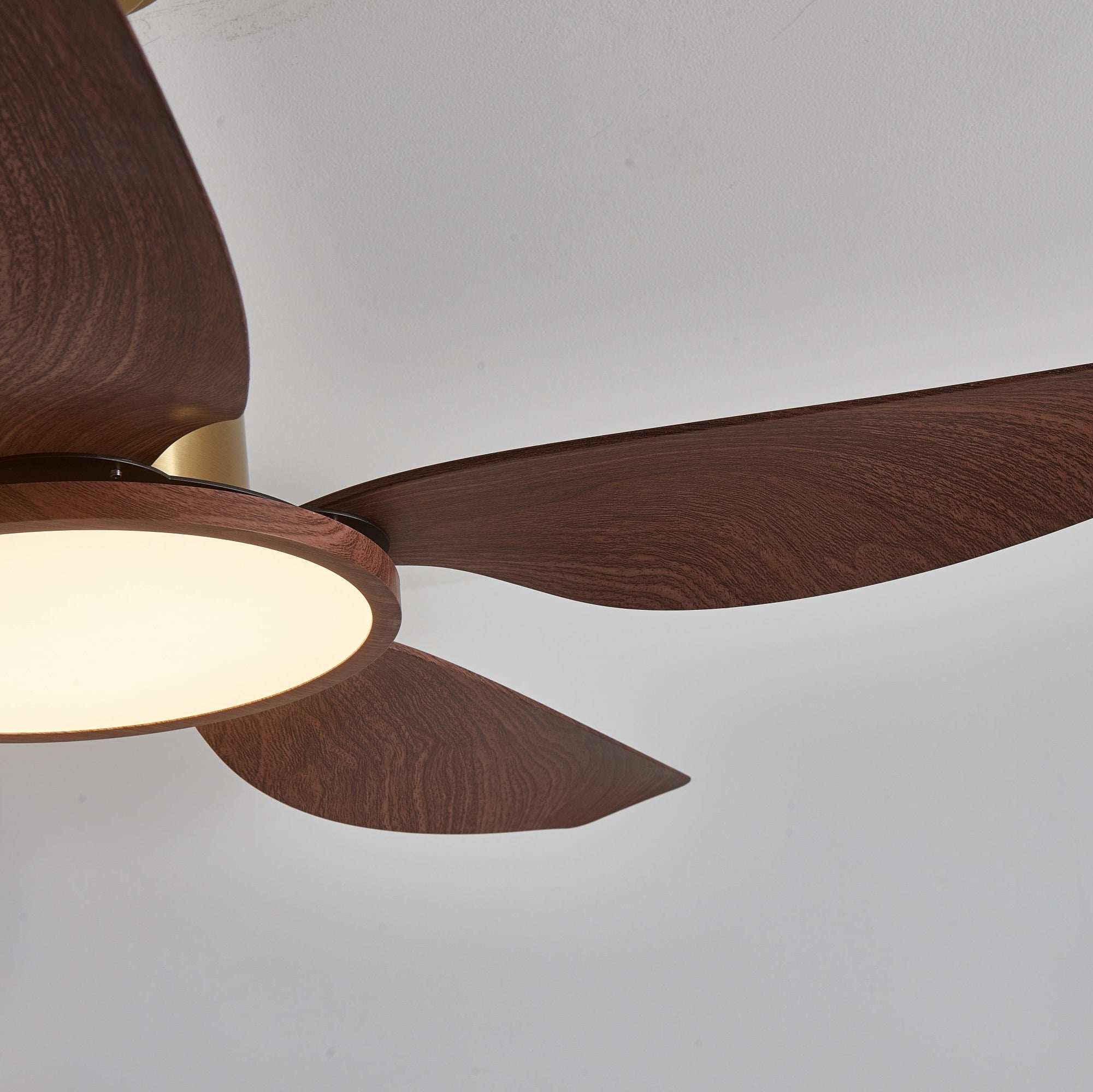 Tereelo Ceiling Fan Light