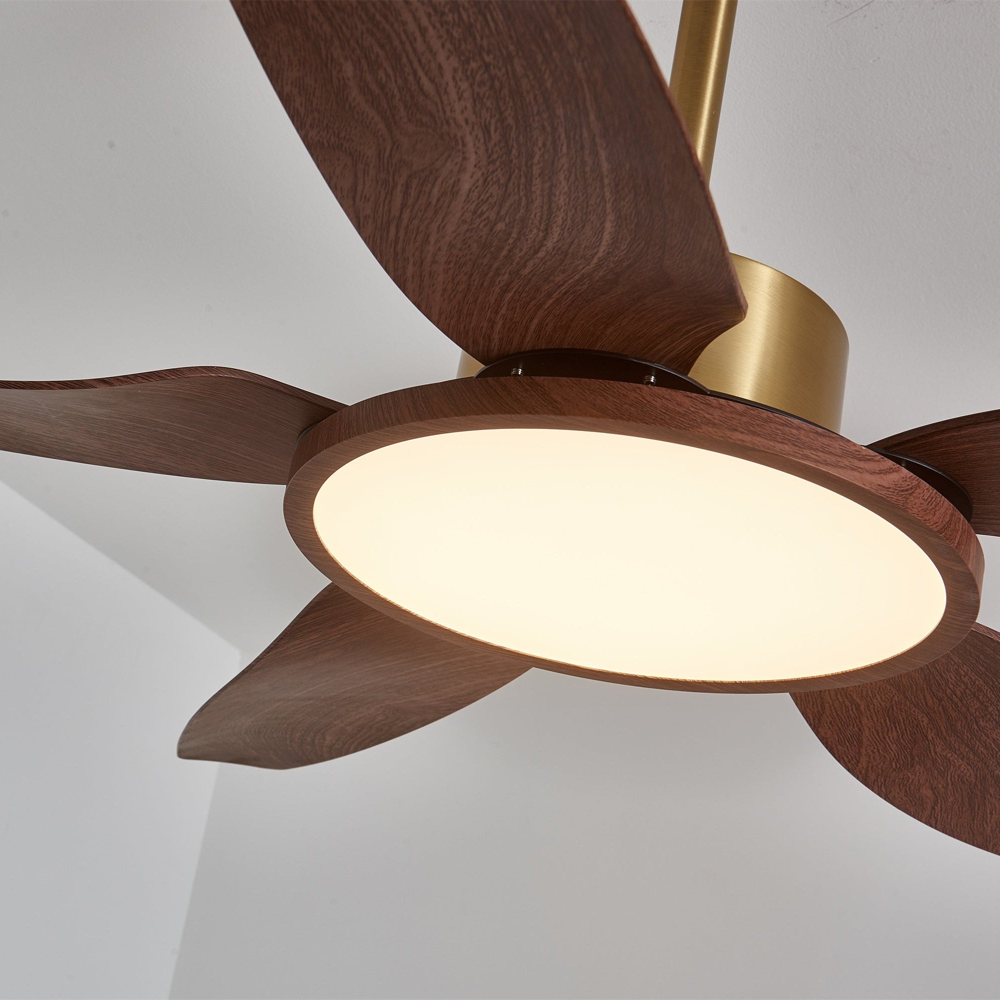 Tereelo Ceiling Fan Light