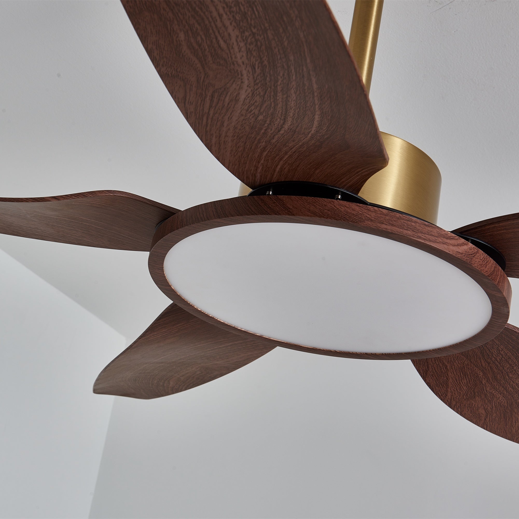 Tereelo Ceiling Fan Light