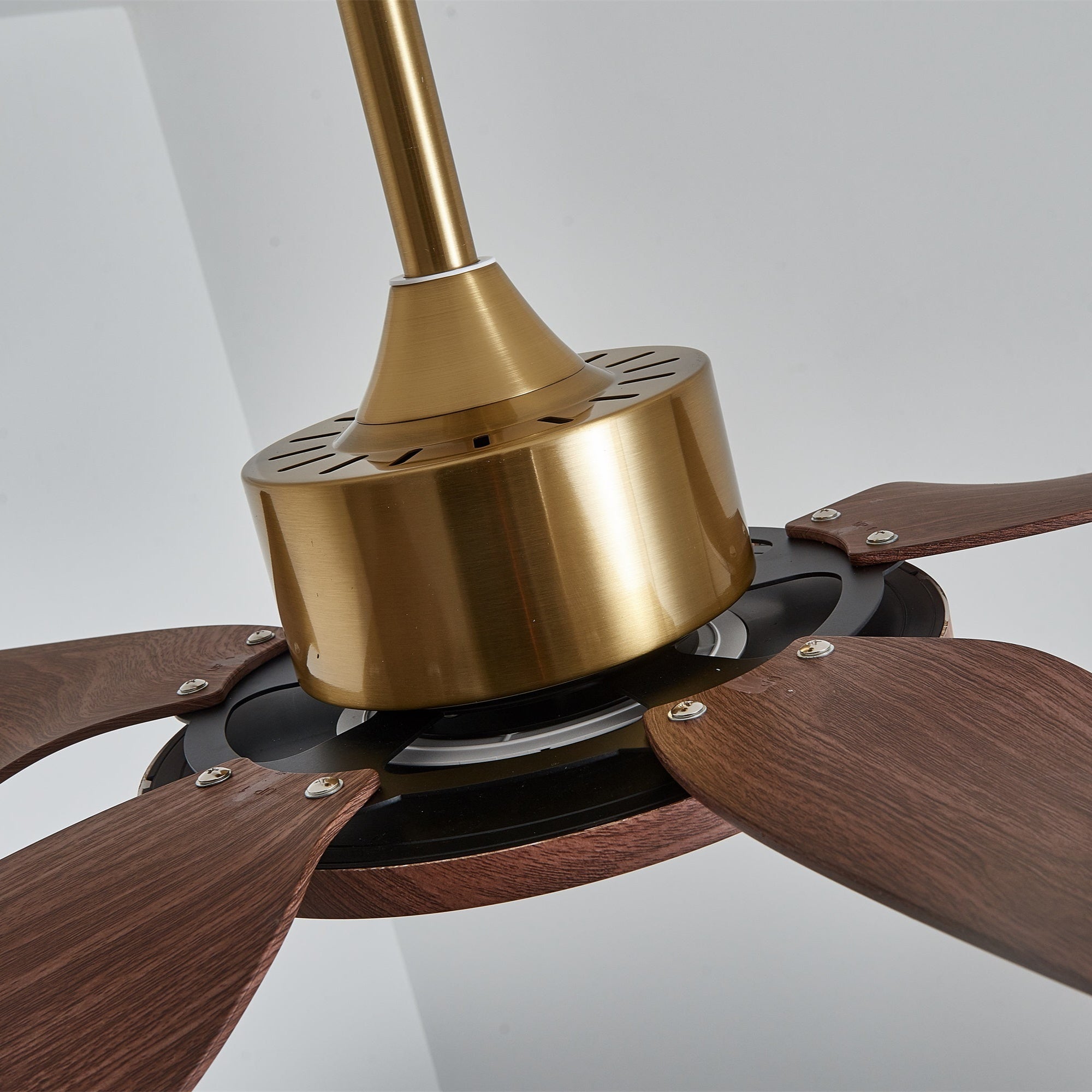 Tereelo Ceiling Fan Light