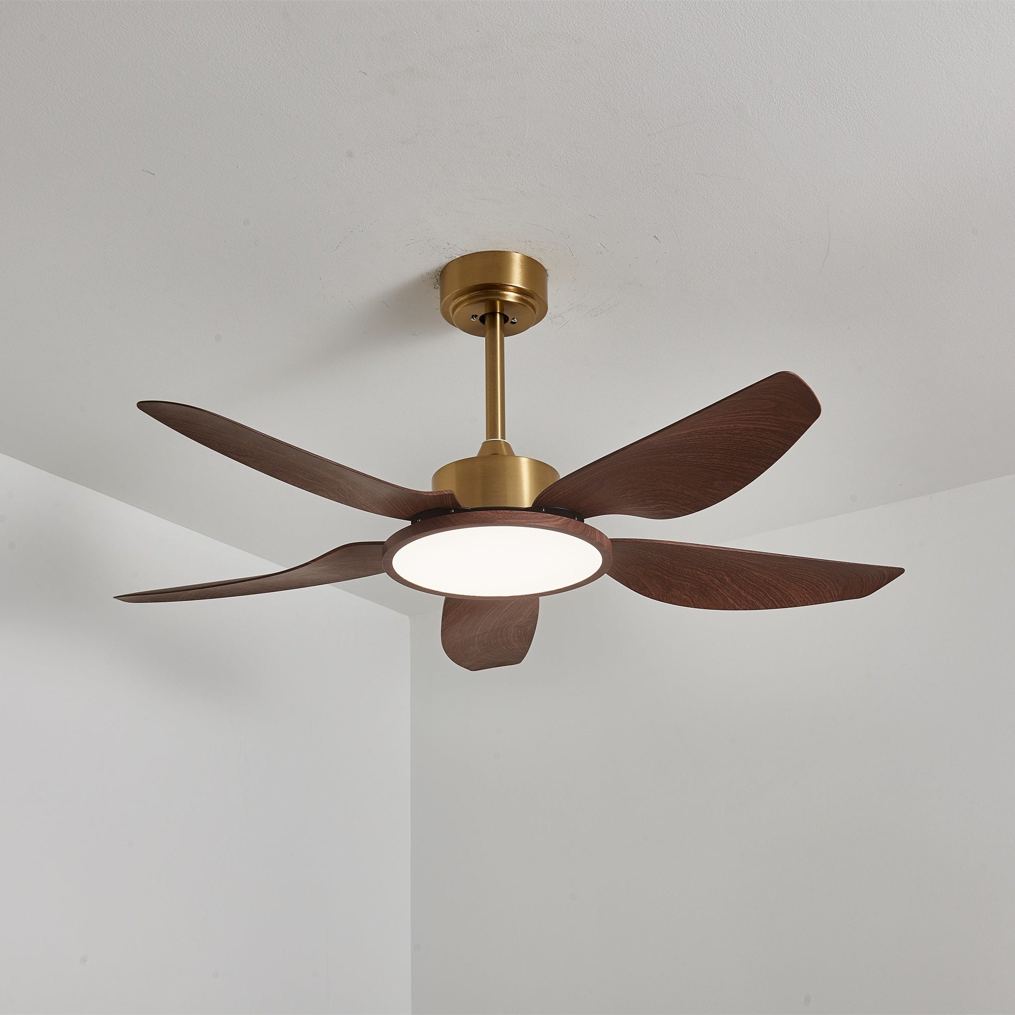 Tereelo Ceiling Fan Light