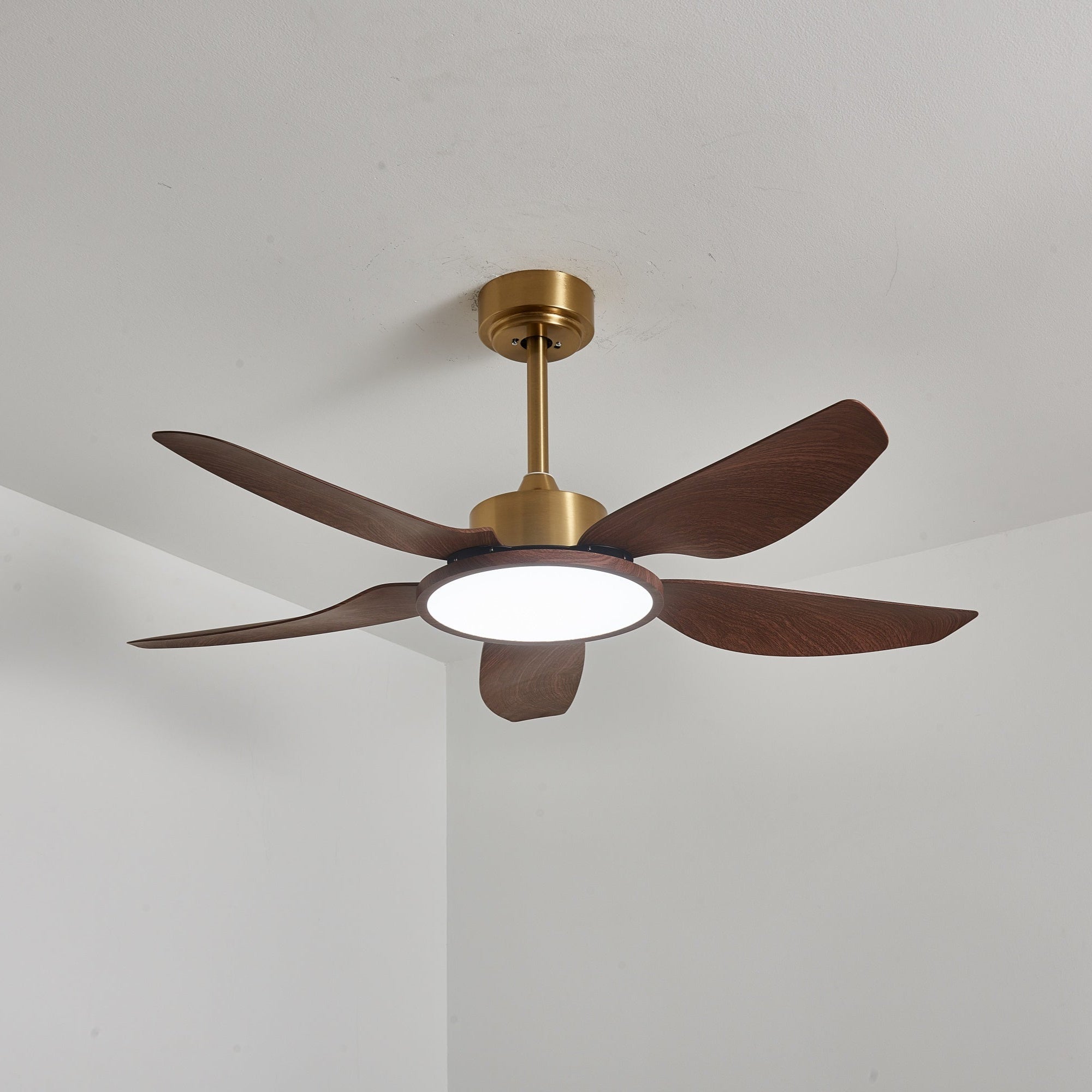 Tereelo Ceiling Fan Light
