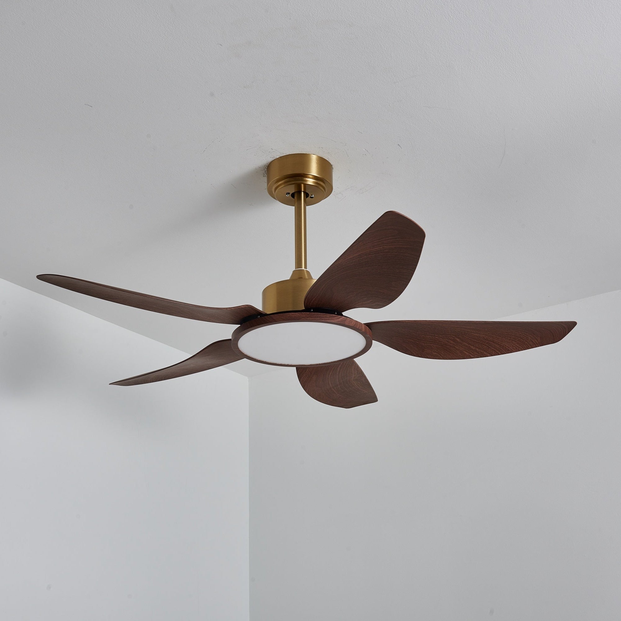 Tereelo Ceiling Fan Light