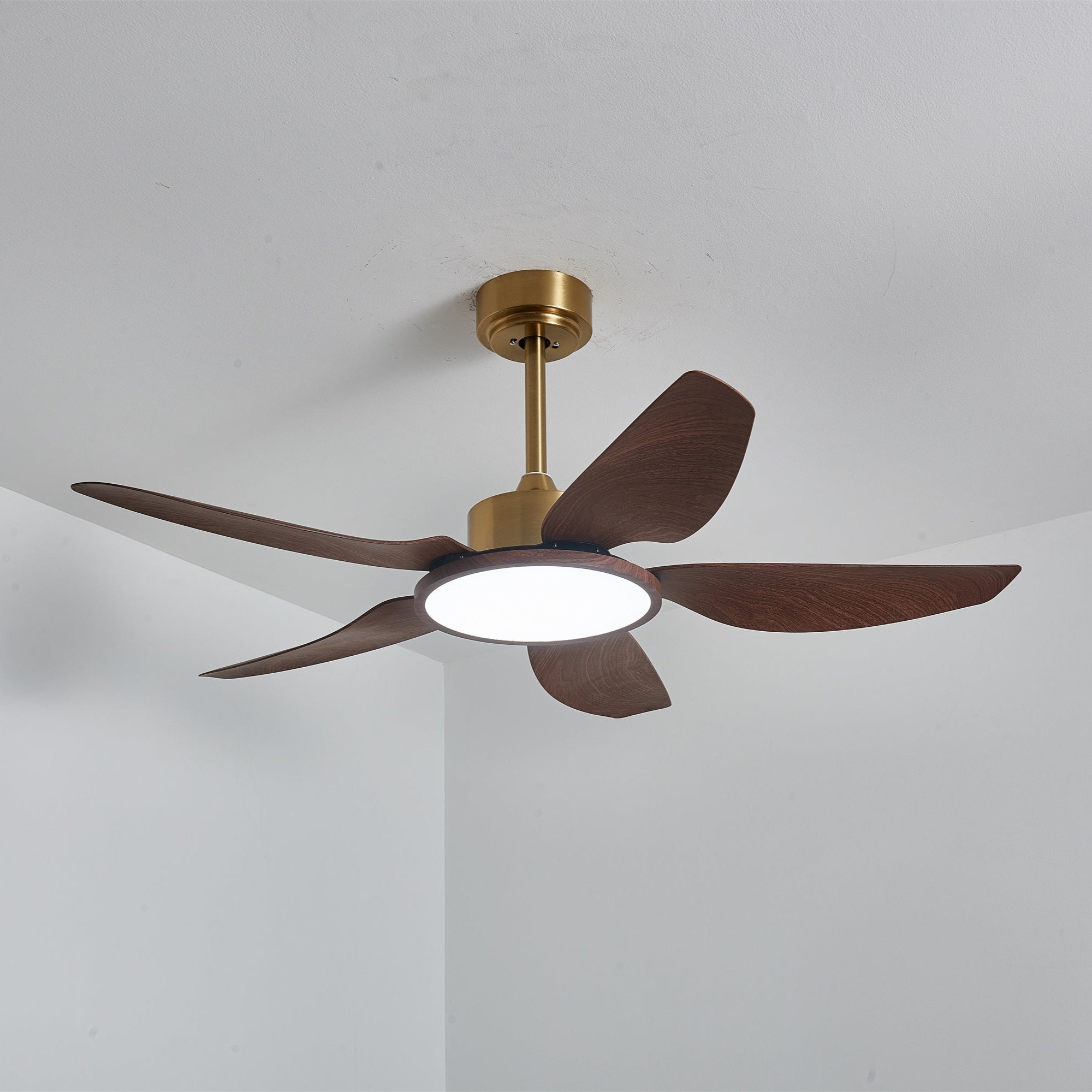 Tereelo Ceiling Fan Light