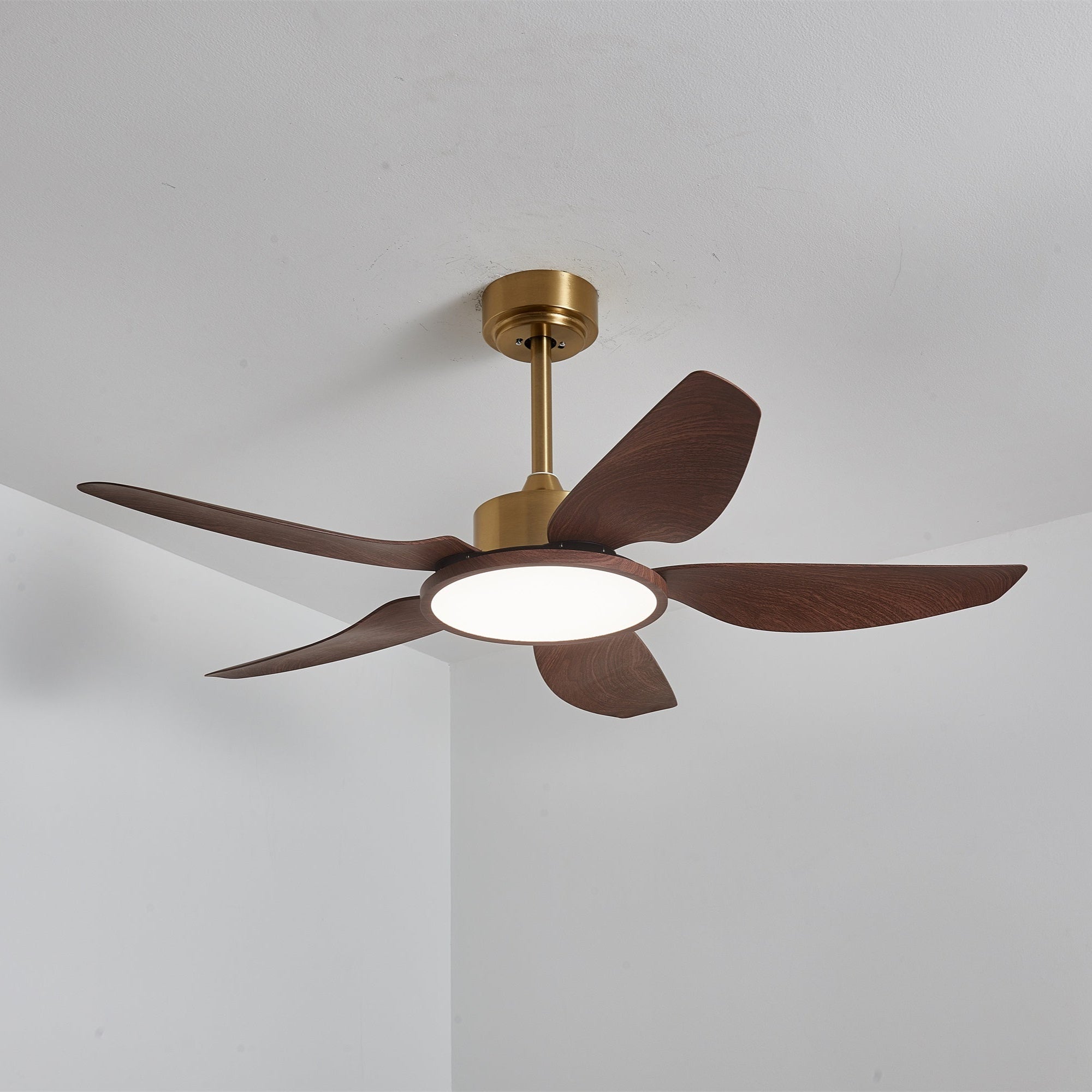 Tereelo Ceiling Fan Light
