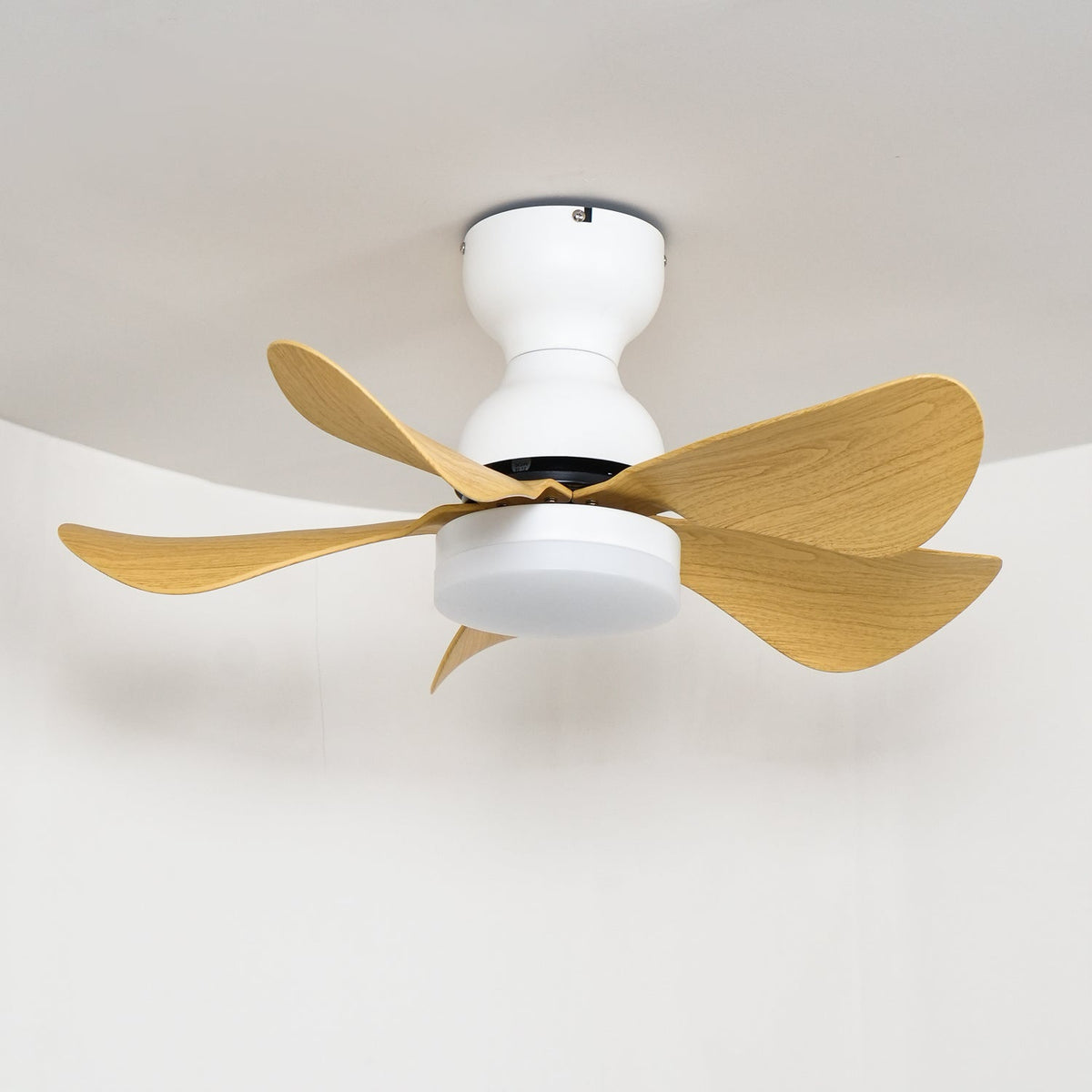 Reefli Ceiling Fan Light