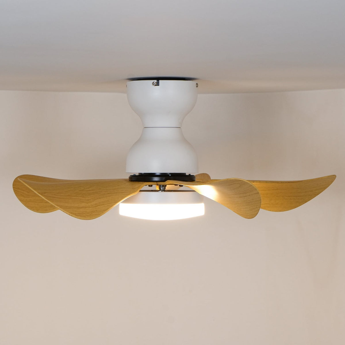 Reefli Ceiling Fan Light