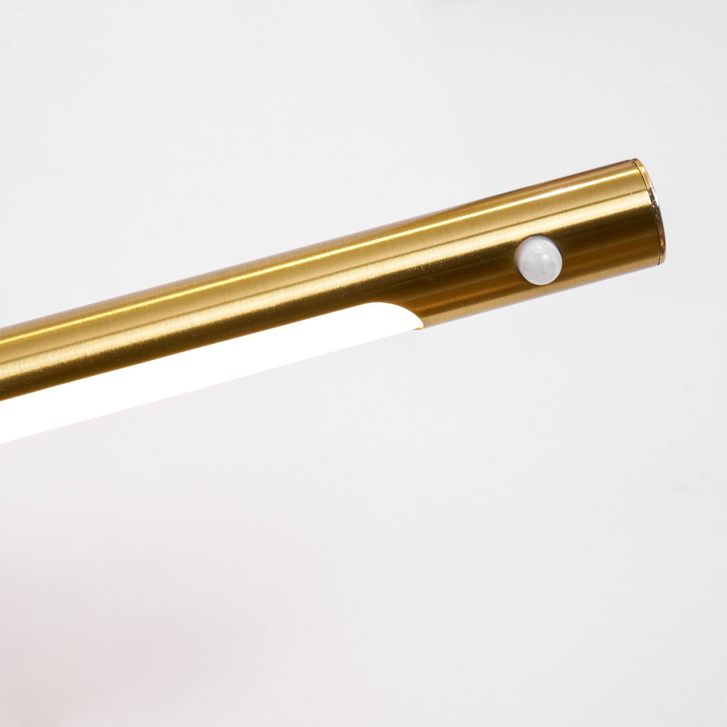 Rioay Stag Horn Wall Light