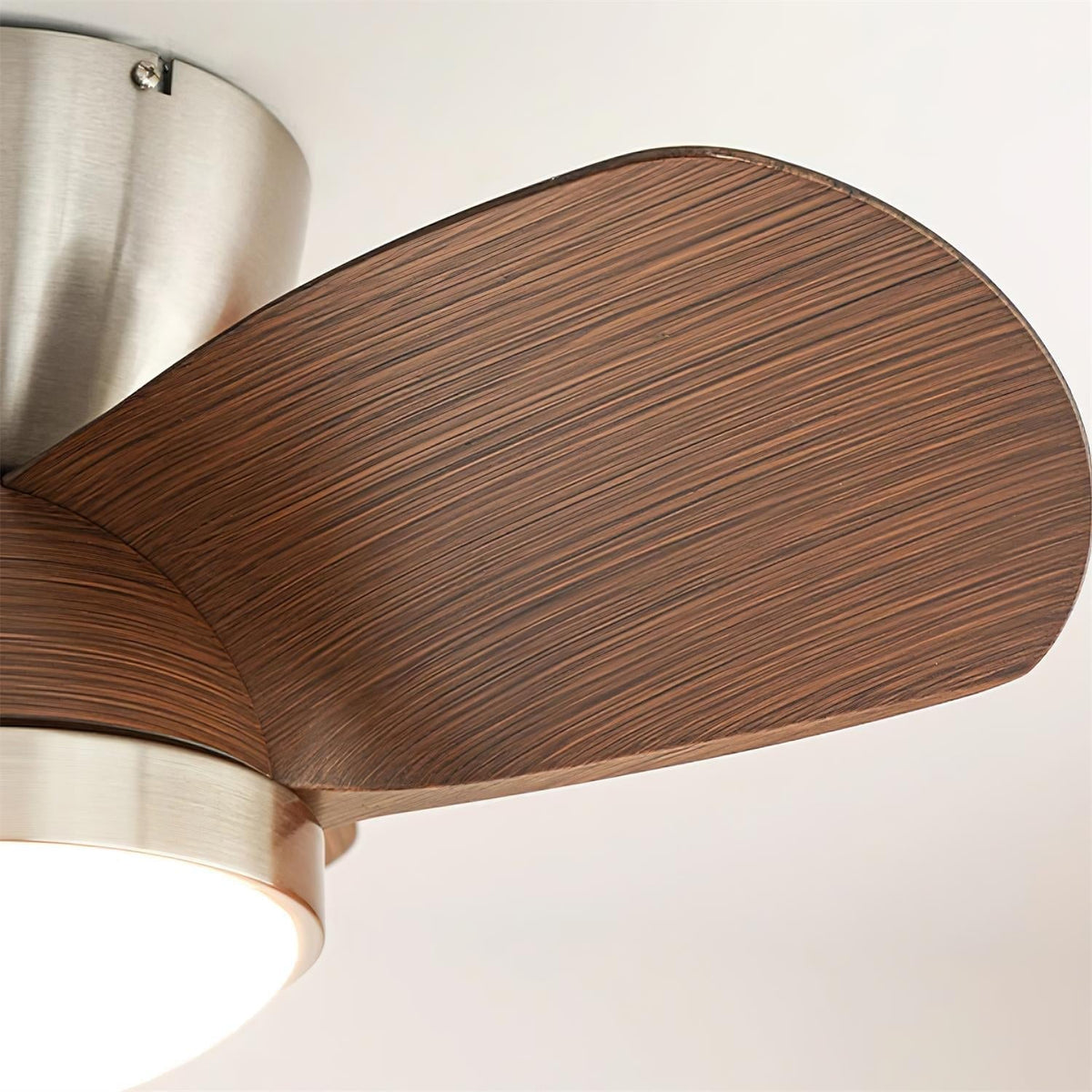 Mavro Ceiling Fan Light