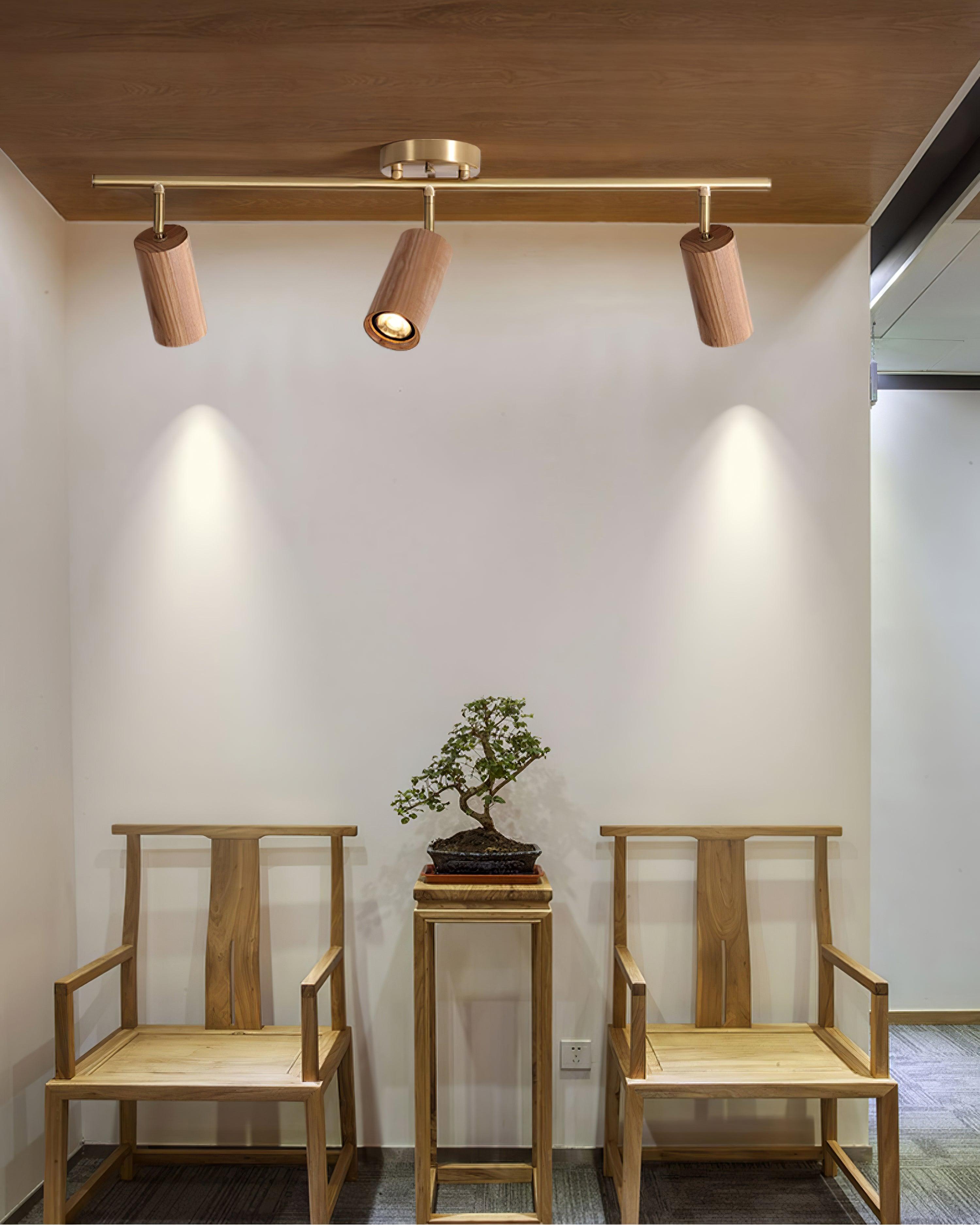 Marlii Ceiling Light