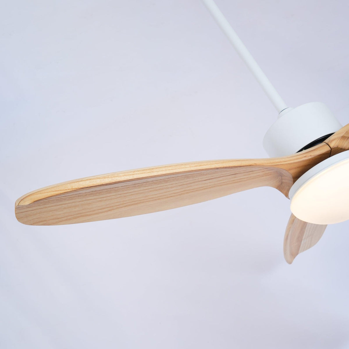 Zelal Ceiling Fan Light