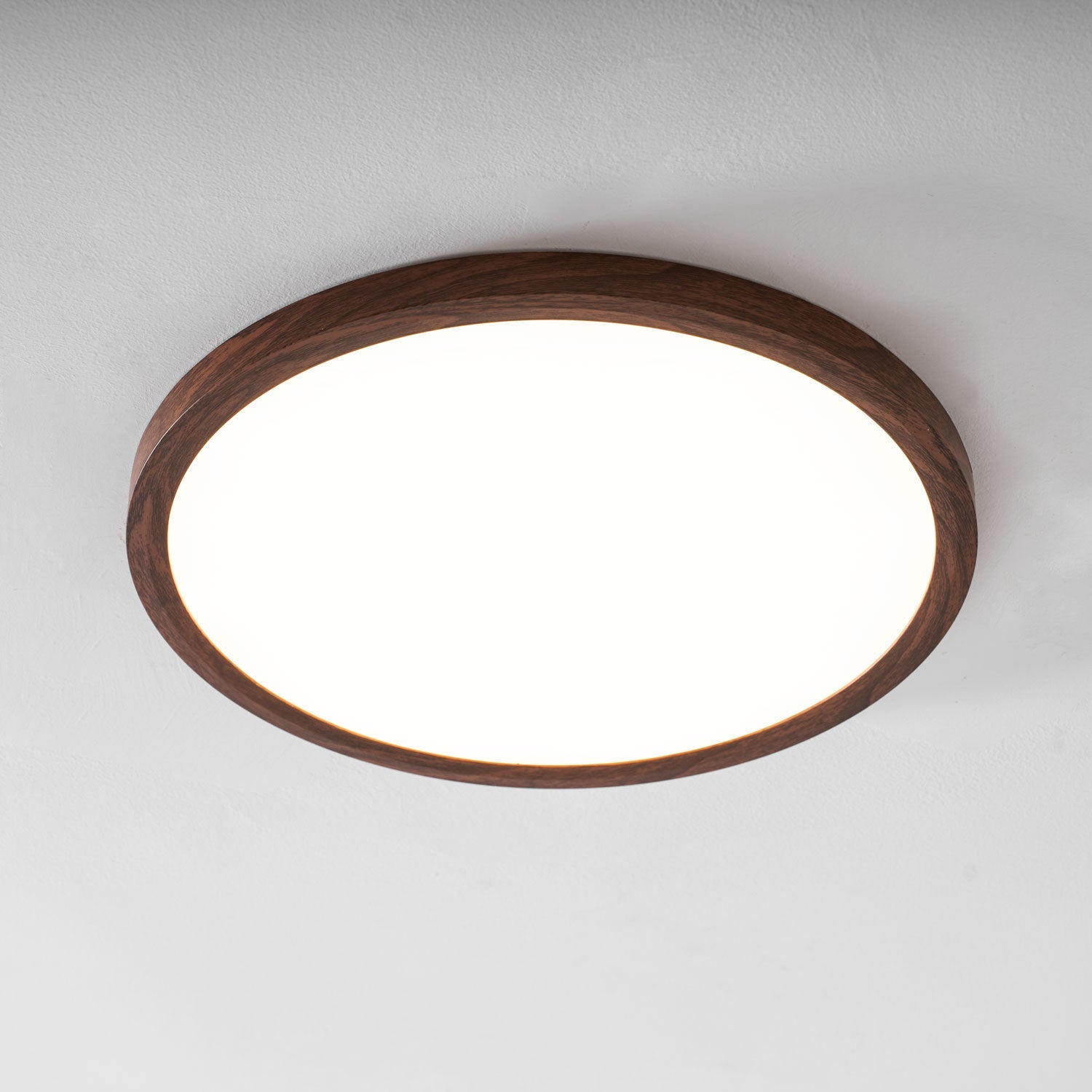 Orenerra Round Ceiling Light