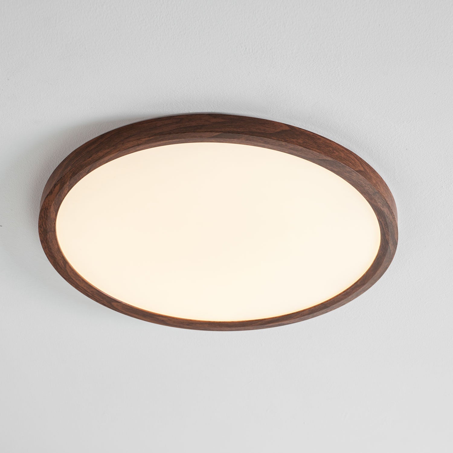 Orenerra Round Ceiling Light