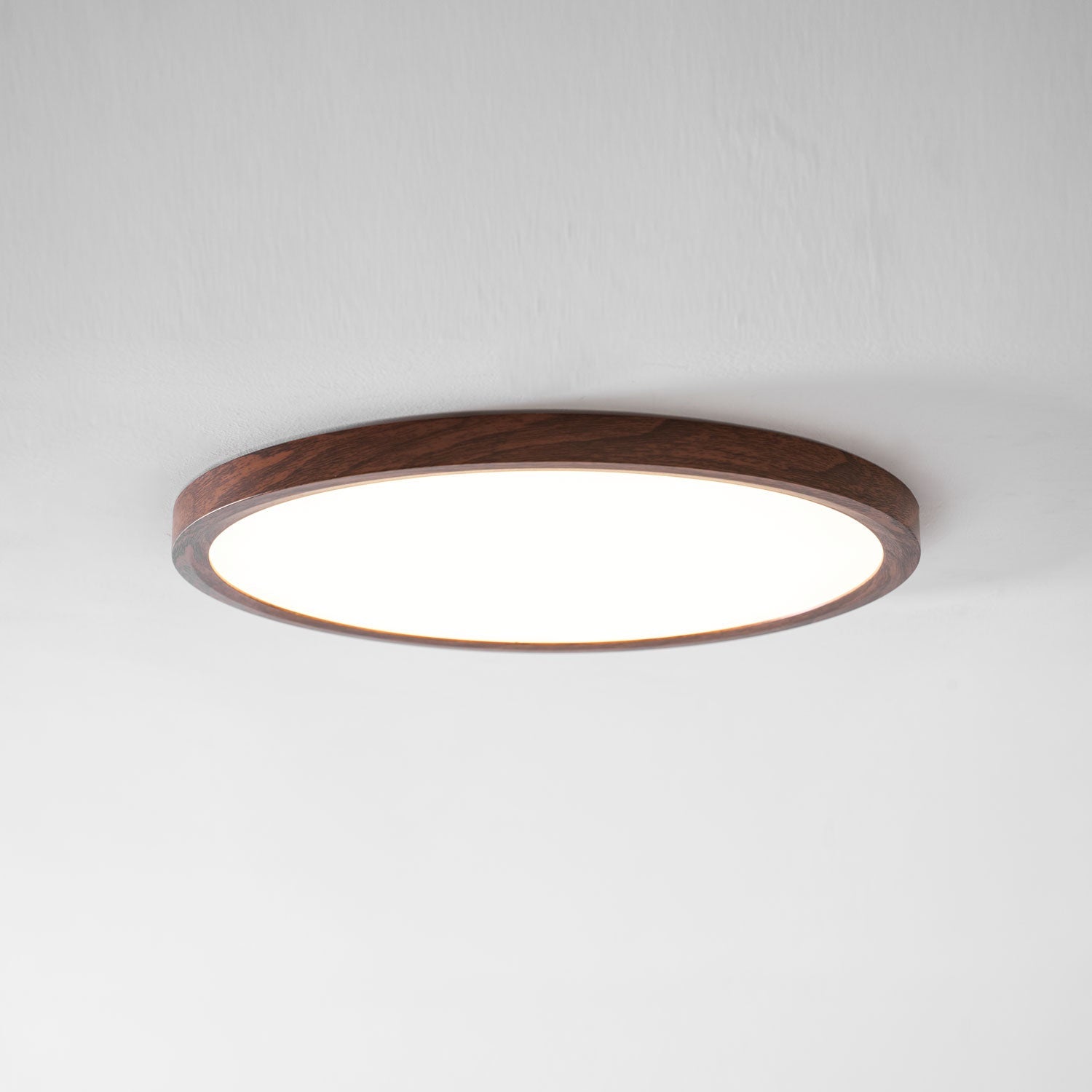 Orenerra Round Ceiling Light