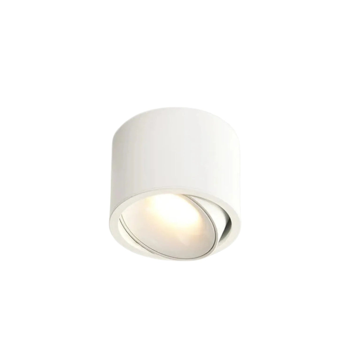 Renma Round Ceiling Light