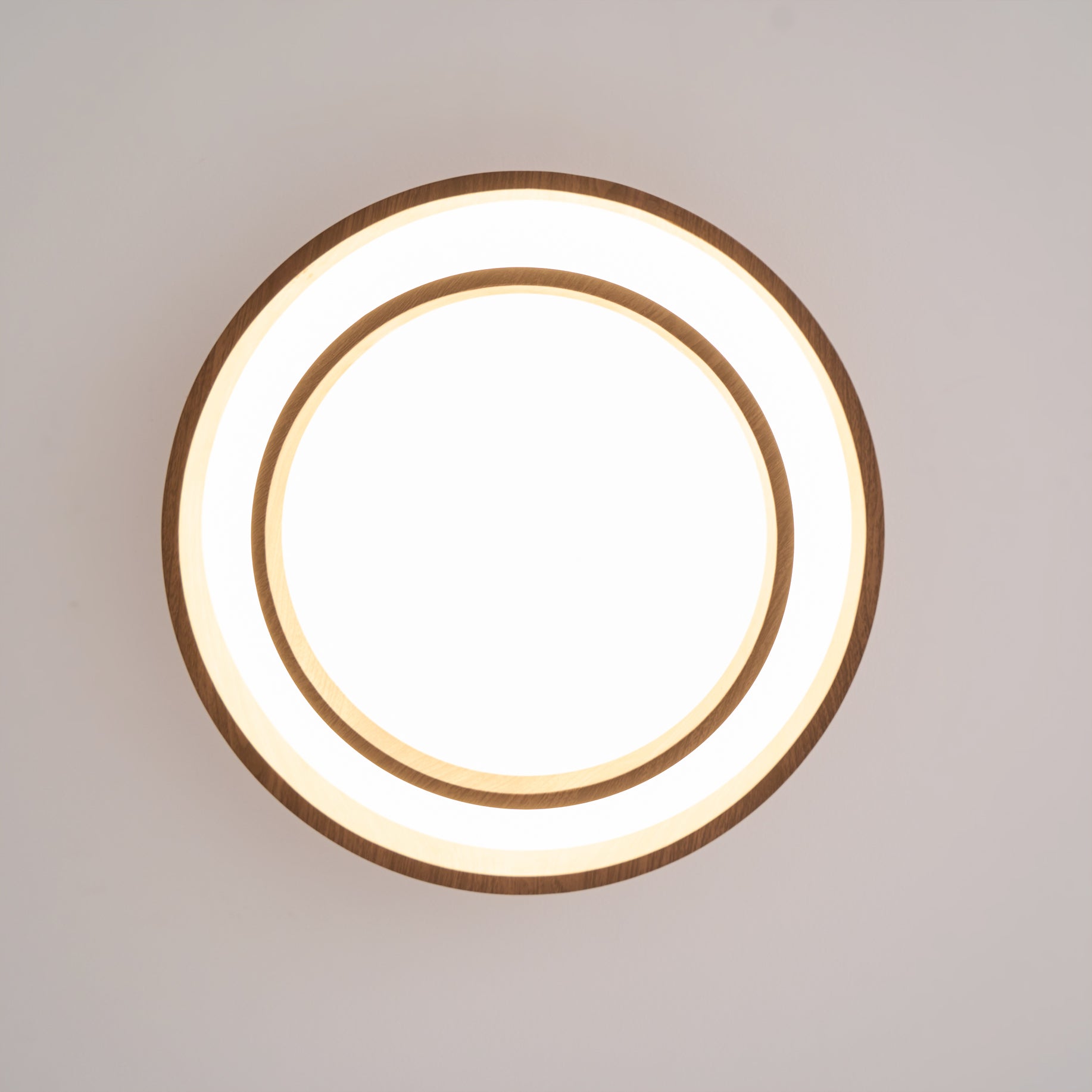Zelialo Round Ceiling Light
